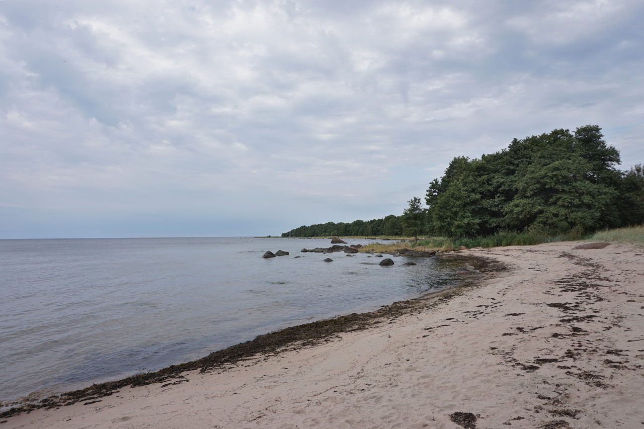 Ostseeküste bei Leesi