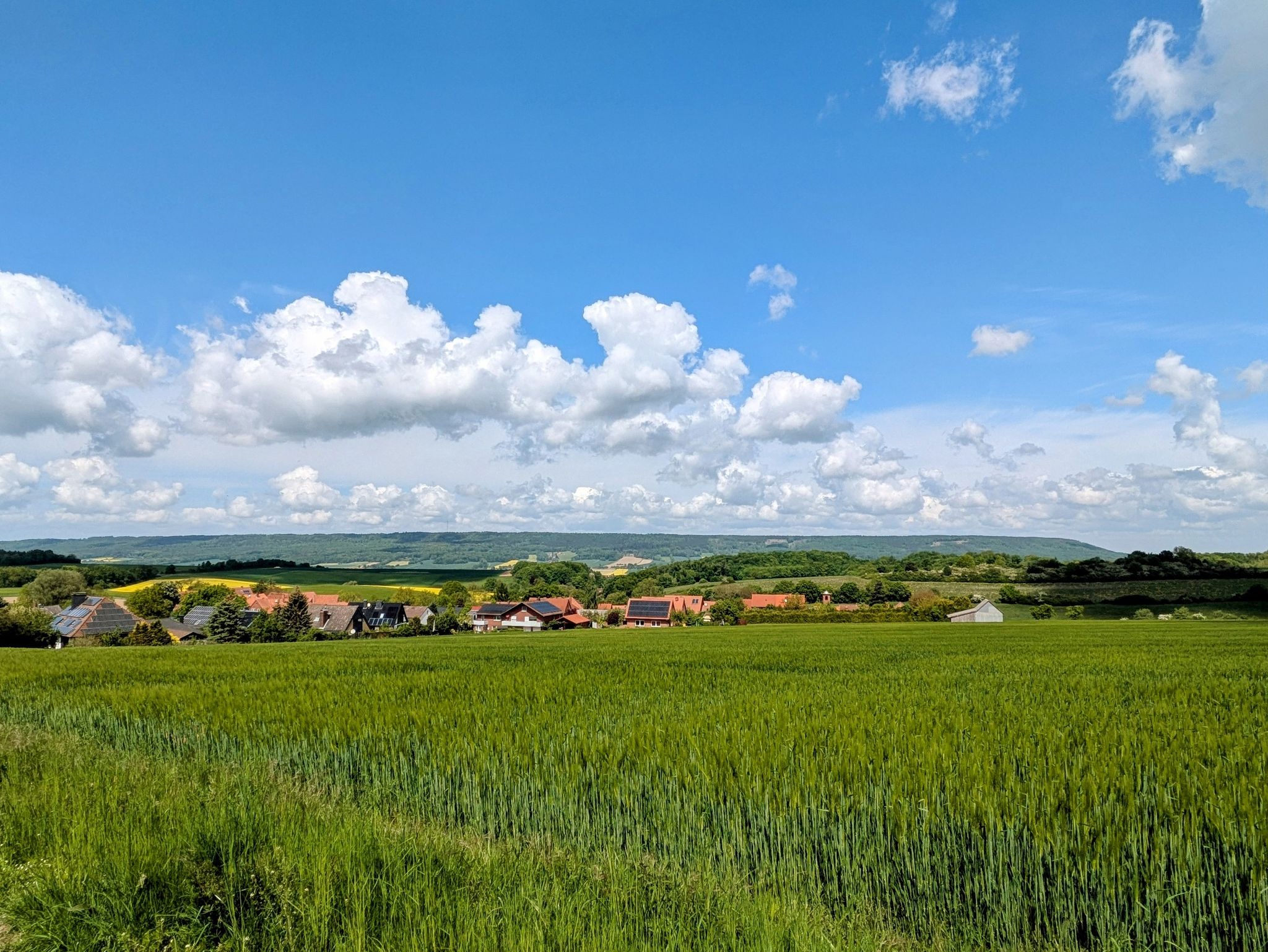 Blick auf Rannenberg und Bückeberg