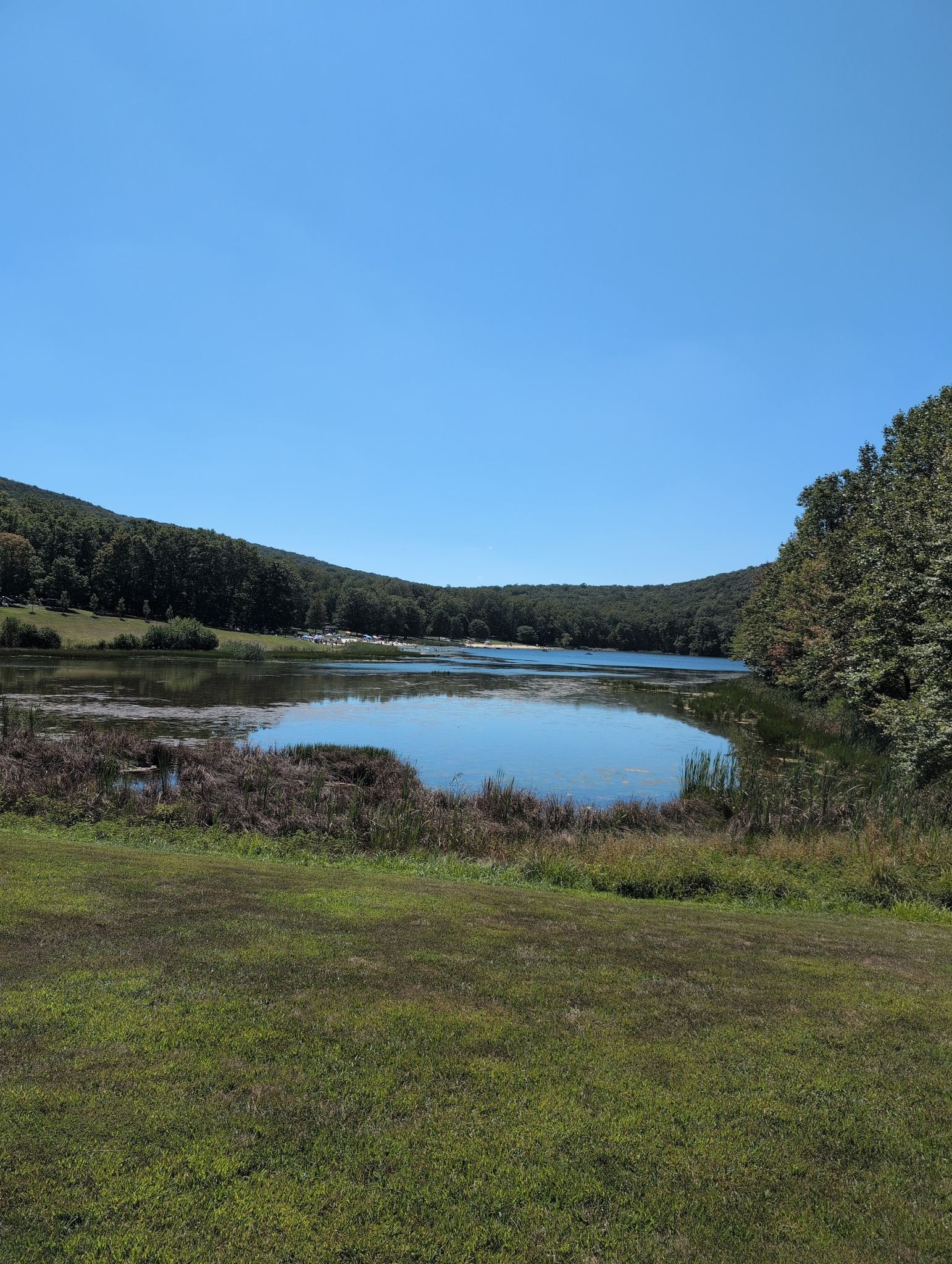 Grassy foreground overlooking a marshy lake inlet and distant forested hills. - Greenbrier Lake – Greenbrier State Park loop from Greenbrier State Park
