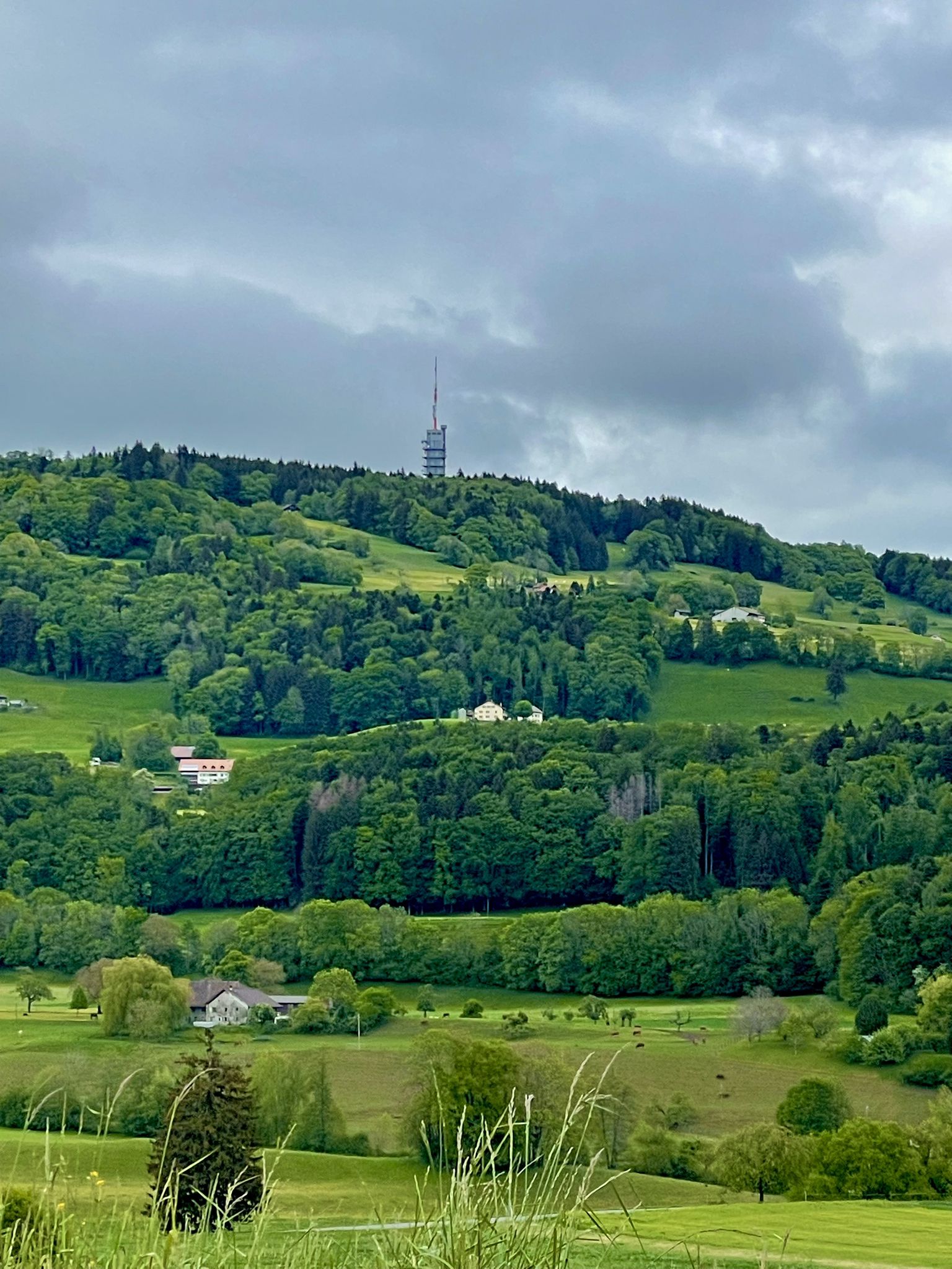 Mont Pèlerin