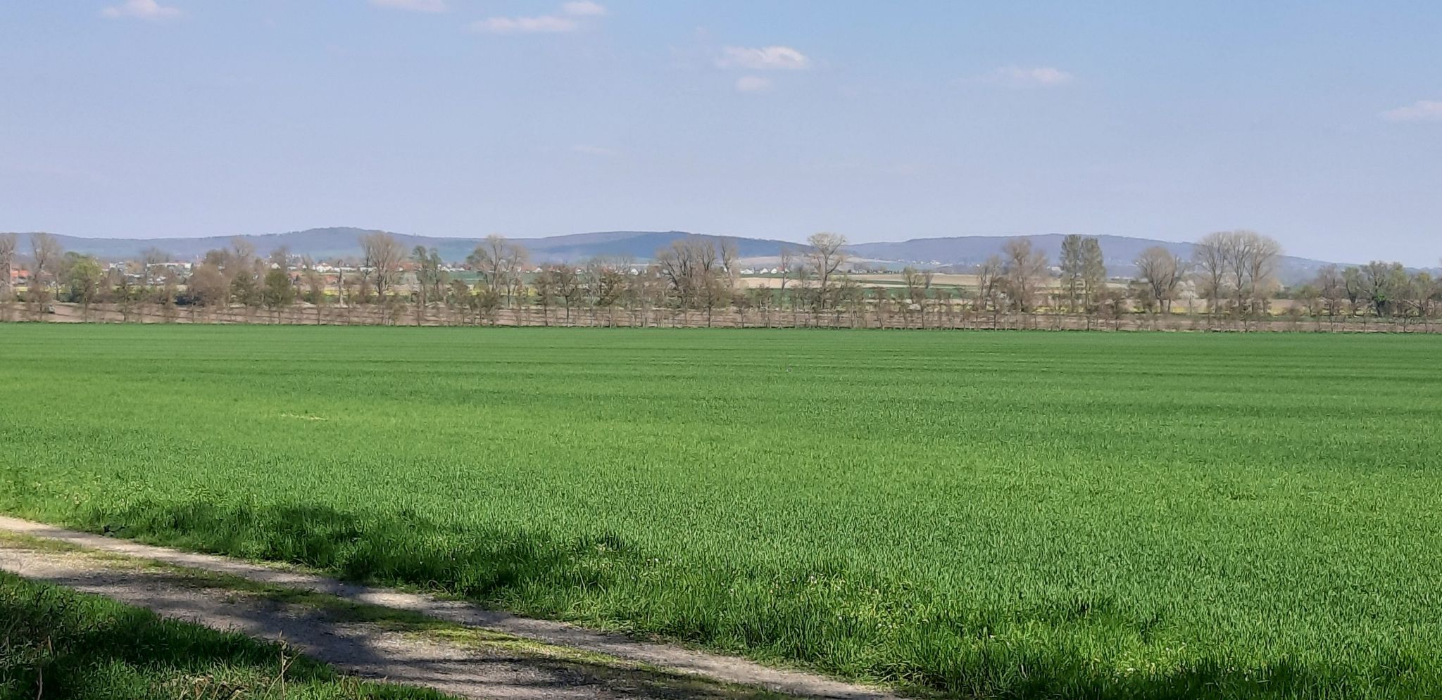 Sickte vorm Elm