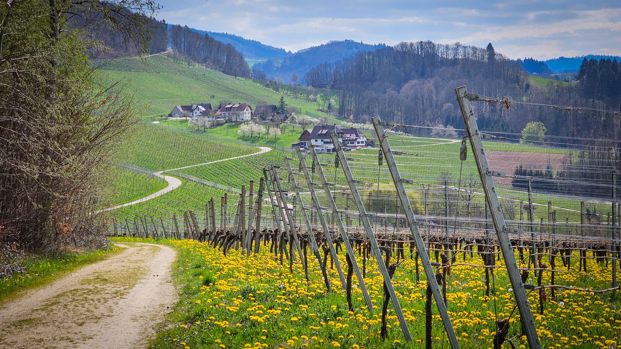 Beim AugenBlick Aussichtspunkt, Blick auf Höfe von Kammersbrunn