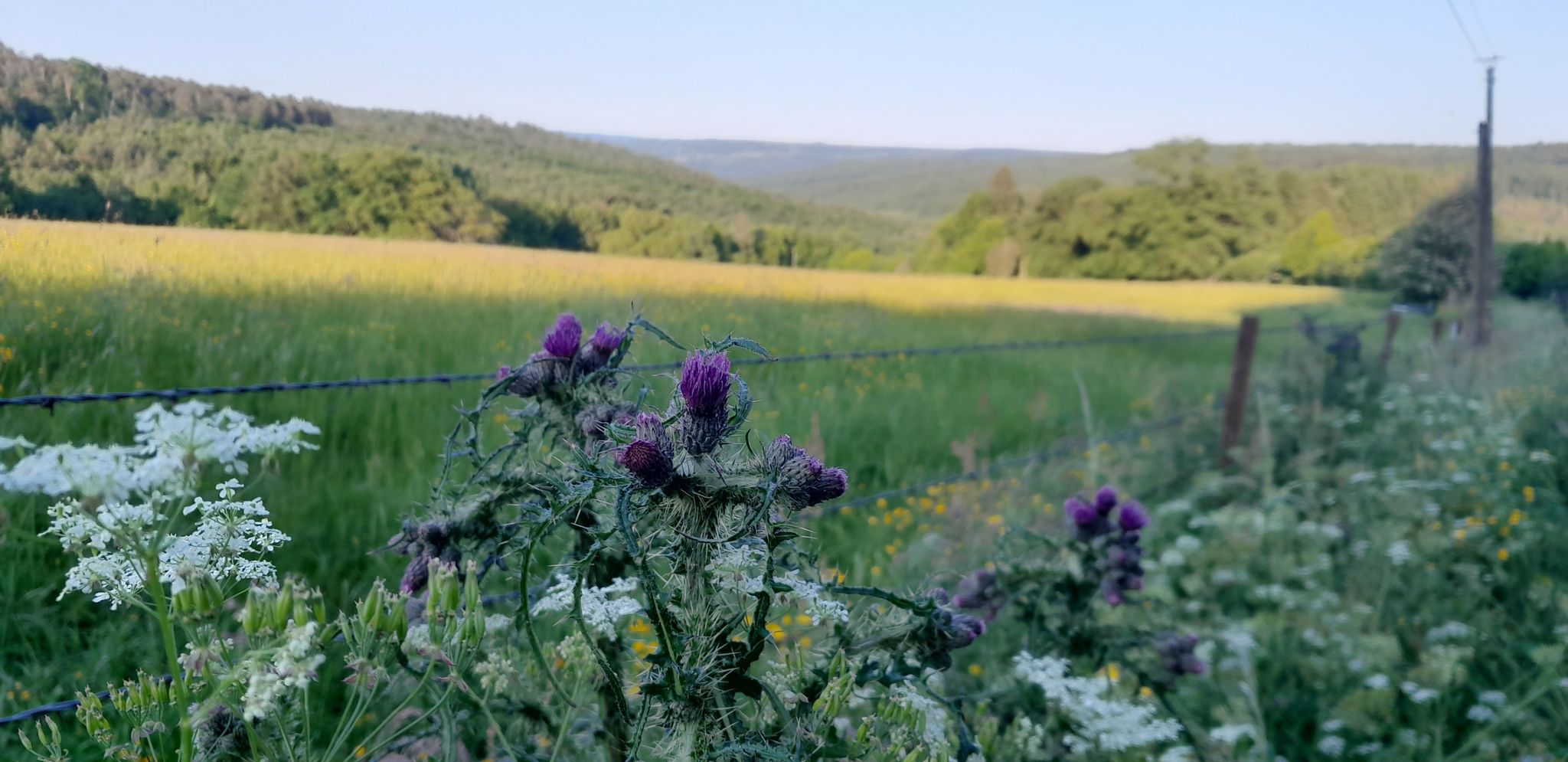 View from the Chemin de la Cense Picart