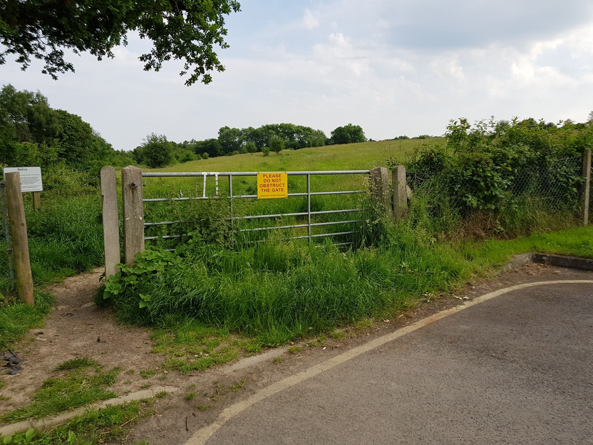 Grass grows quick by this gate!.?