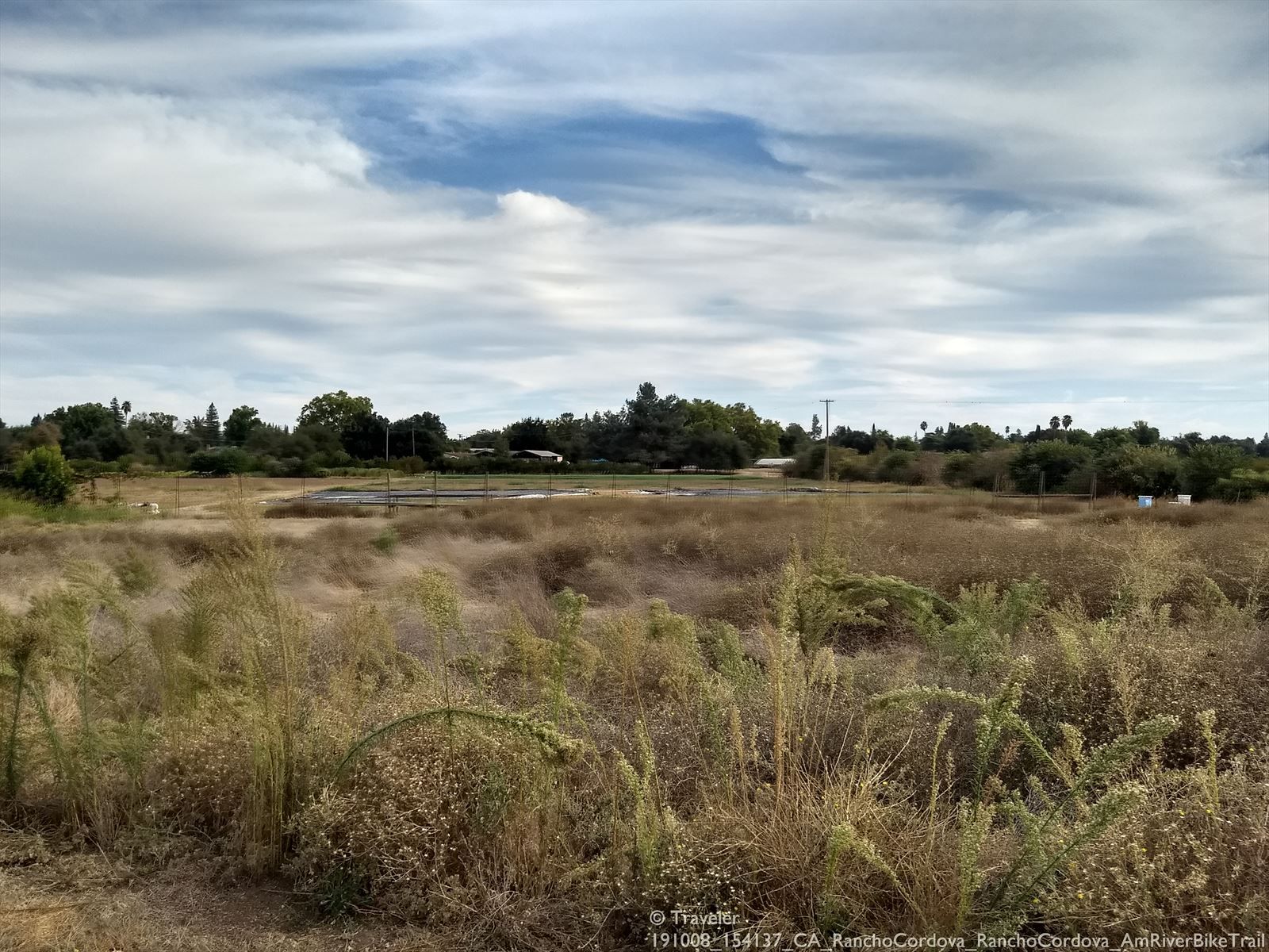 Expansive field of dry grass and shrubs under a partly cloudy sky. - River Bend Park and American River Trail Loop