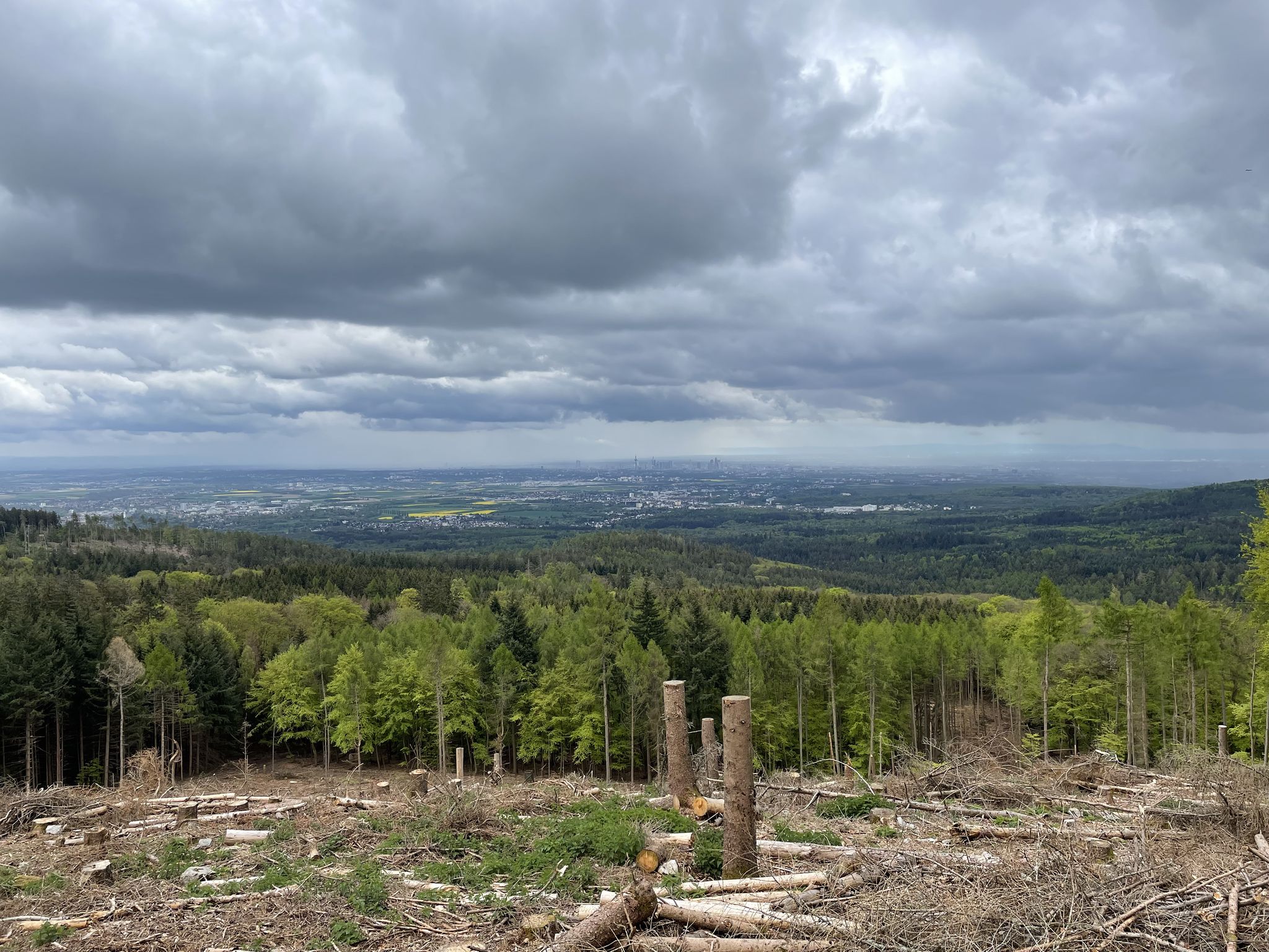 Blick nach Frankfurt hinunter