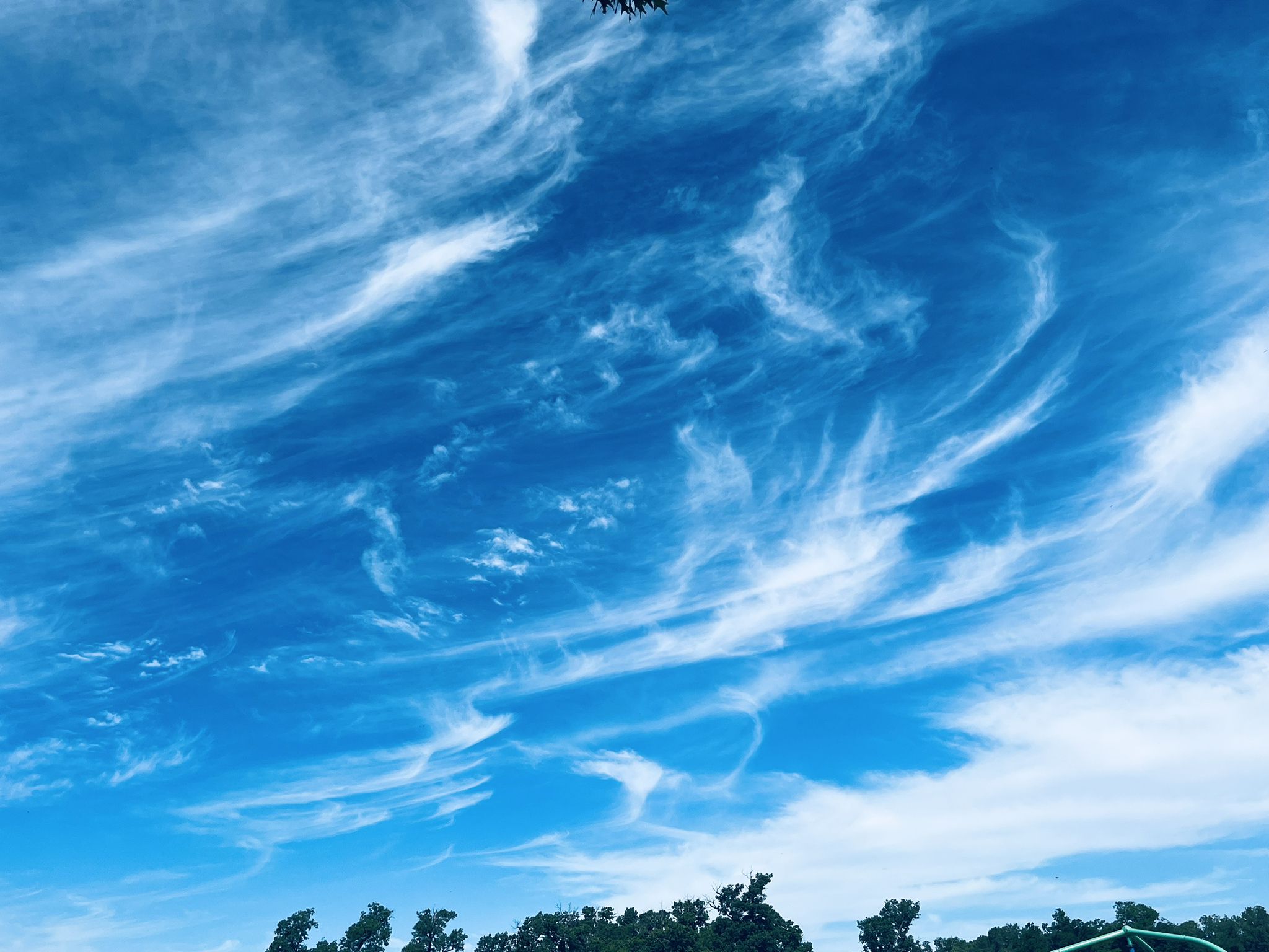 A vibrant blue sky filled with wispy white clouds above green treetops. - River Legacy Park – River Legacy Park loop from BSA Bridge