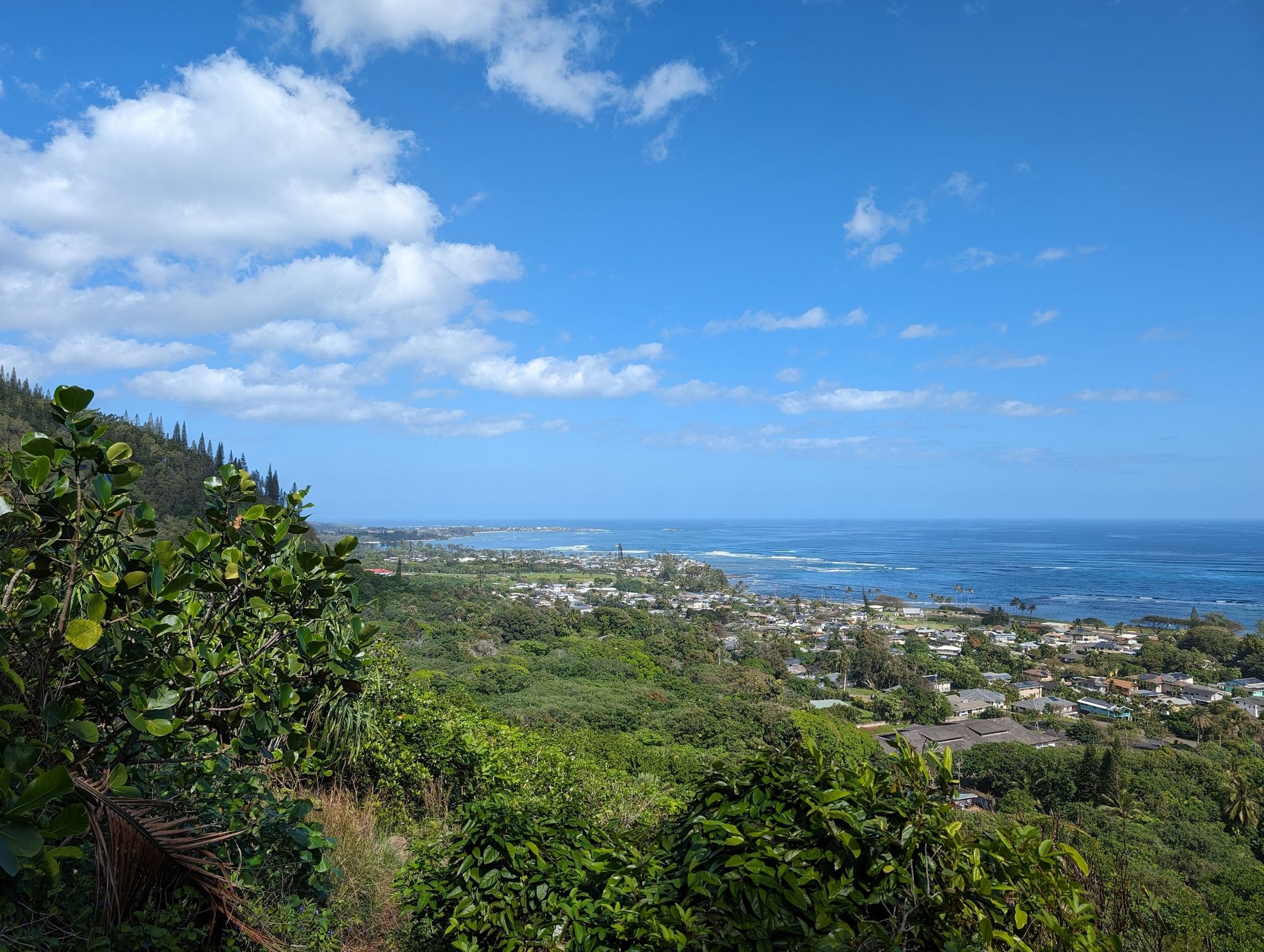 Coastal town and ocean viewed from a lush green hillside under blue sky. - Maʻakua Ridge Trail loop