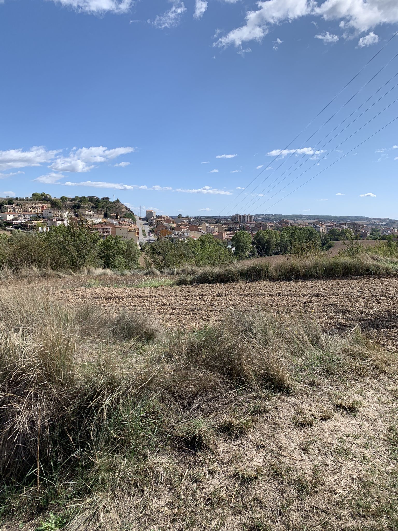 Solsona