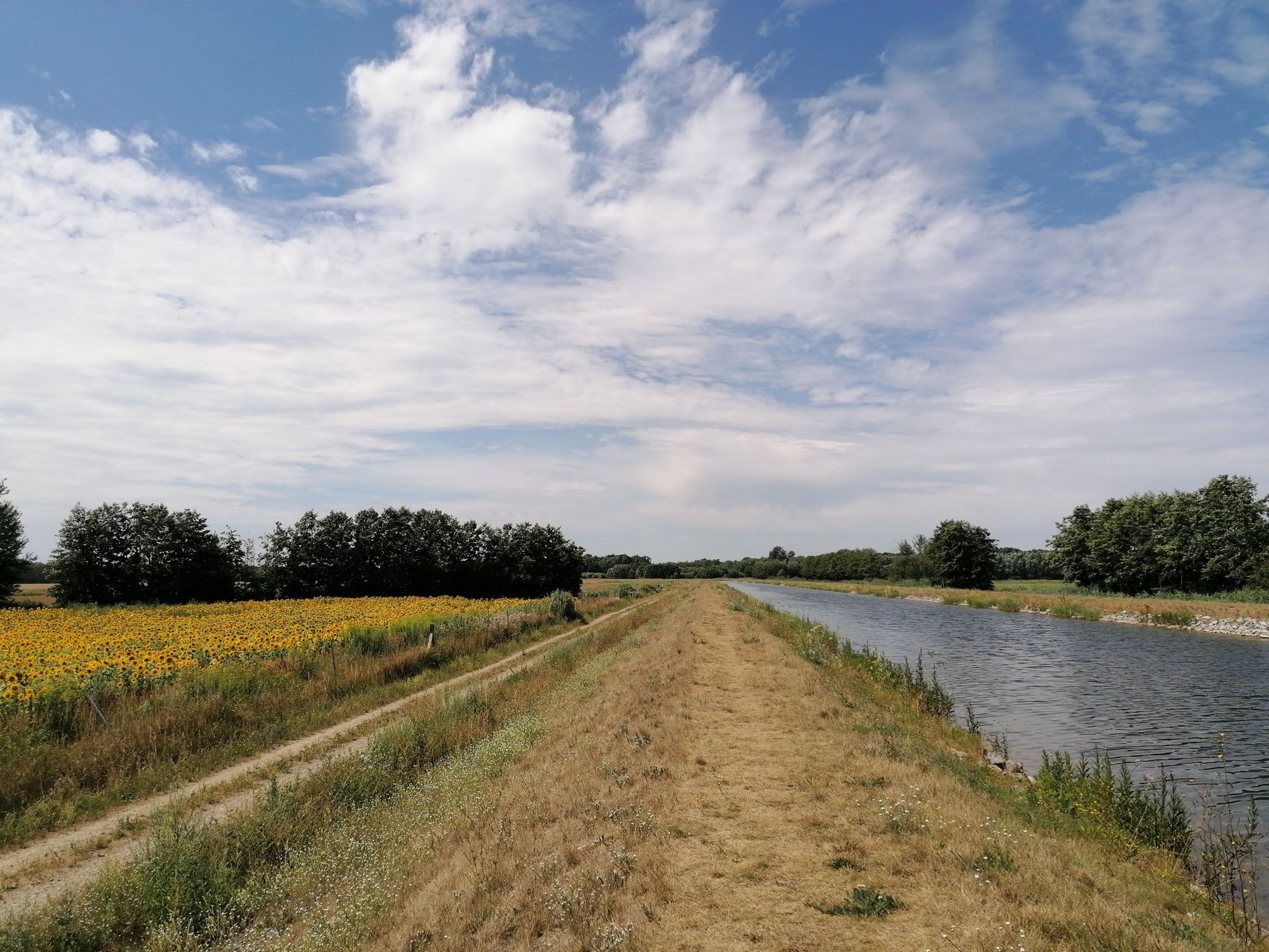 Am Werbellinkanal