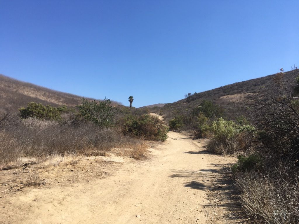 A dirt path winds between dry, brushy hillsides under a clear blue sky. - Palo Comado and China Flats Loop