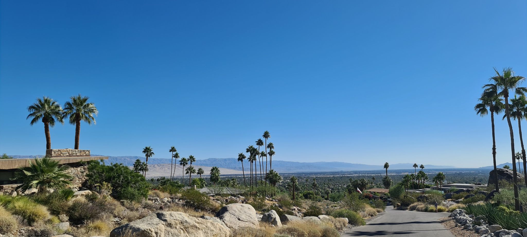 Sunny desert landscape with palm trees, distant mountains, and a paved road. - Skyline Trail – Downtown Palm Canyon Drive loop from Prescott Preserve