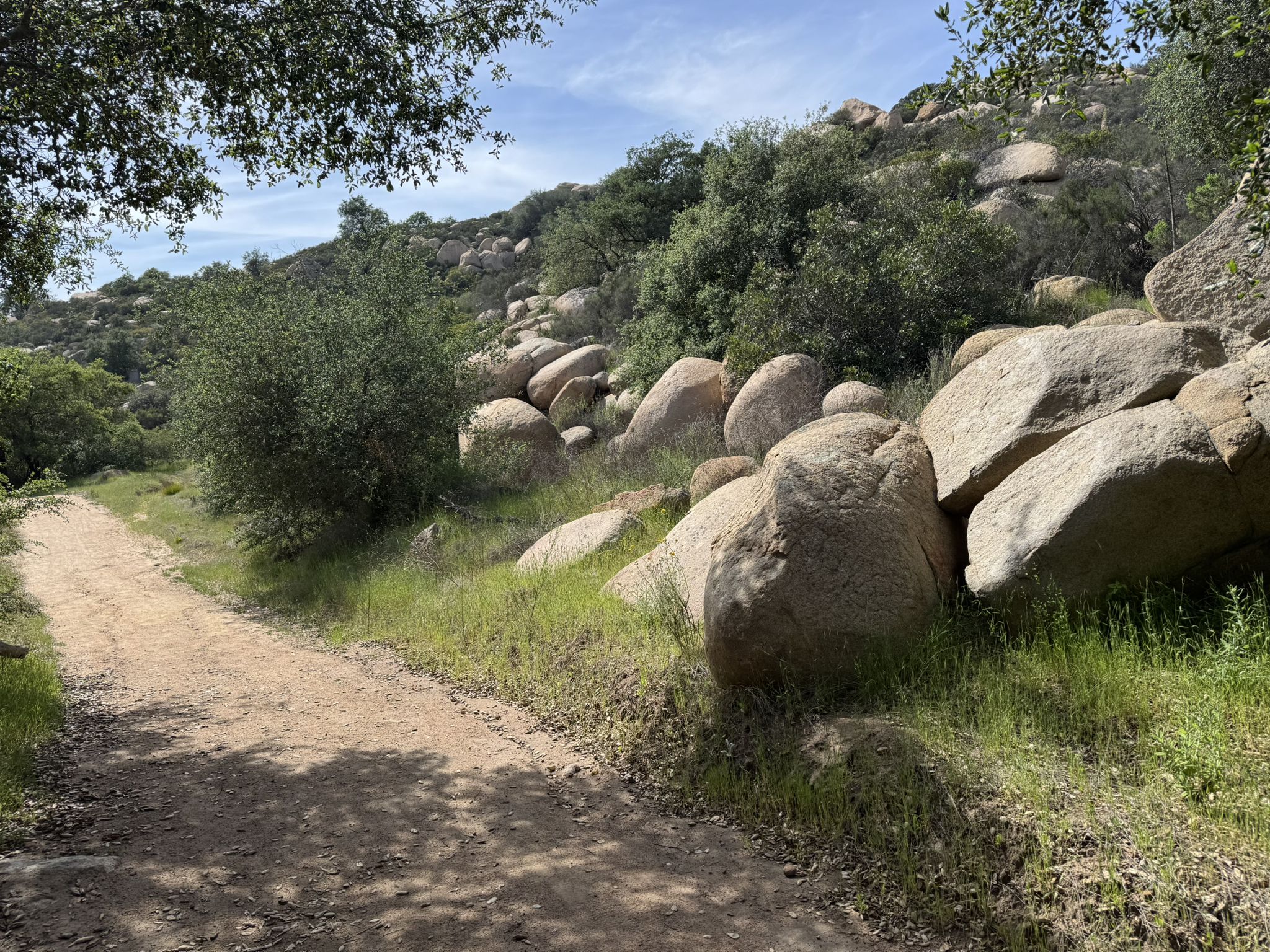 Dirt trail alongside large boulders and green trees on a sunny day. - Daley Ranch House – Boulder Loop Trail loop from Turner 1074 Dam