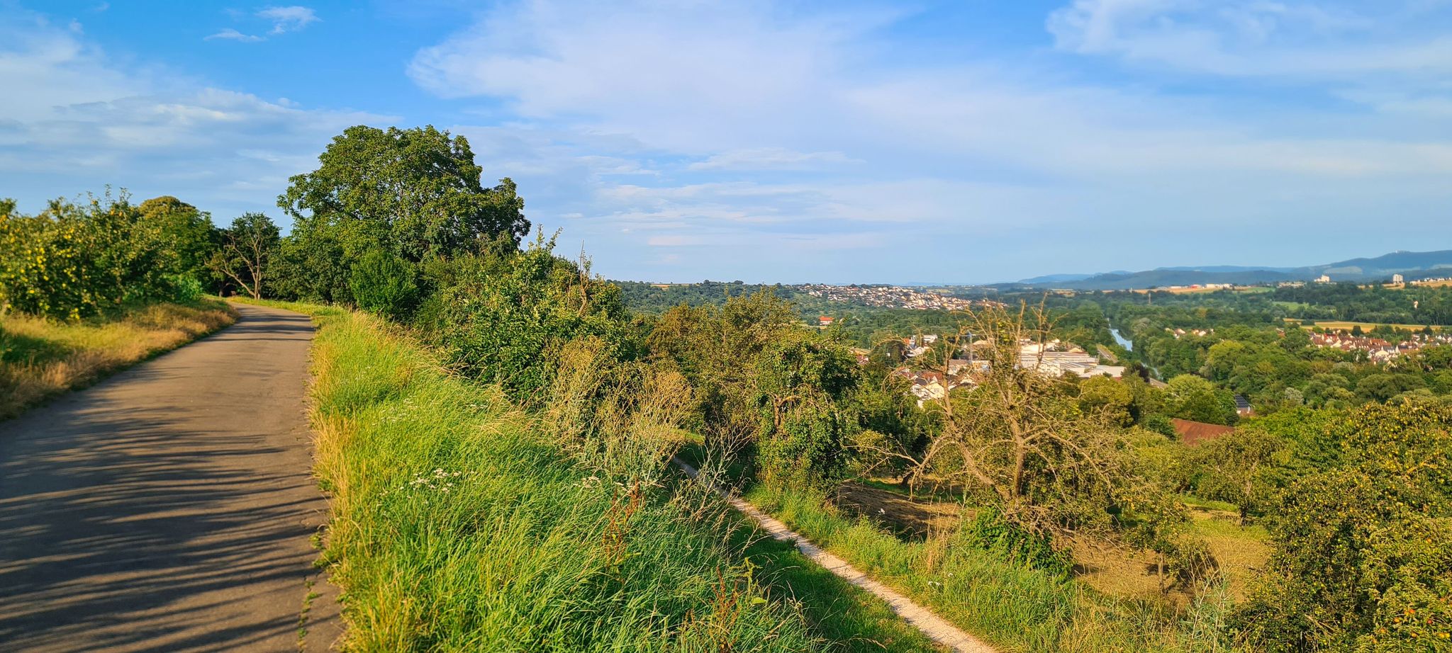 Blick vom Galgenberg ins Neckartal