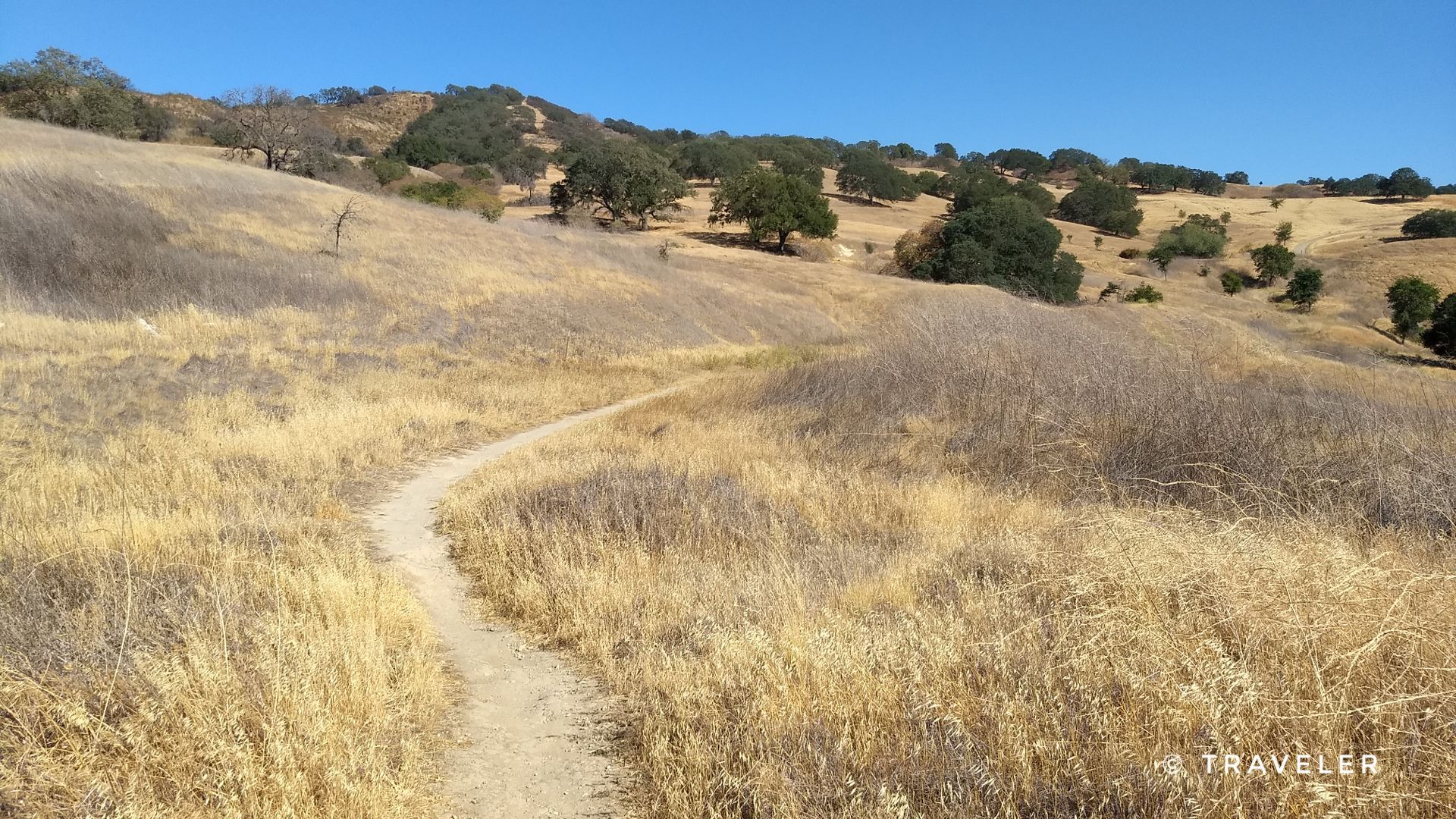 A winding dirt path through dry golden grass on a sunny day. - Ohlone and Crystal Ranch Trail Loop