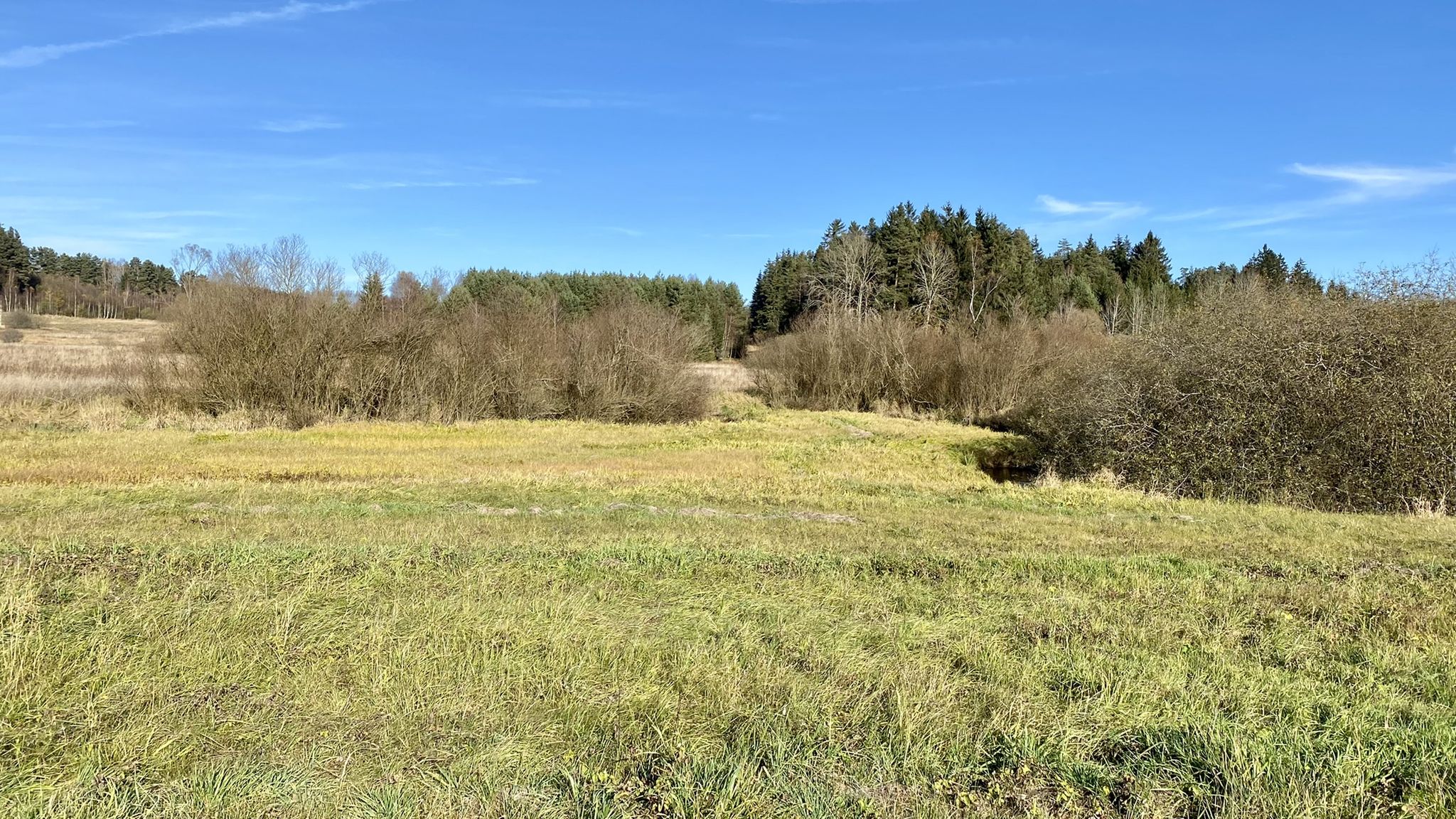 Augebiet der Maltsch - Grenzfluss zu Tschechien