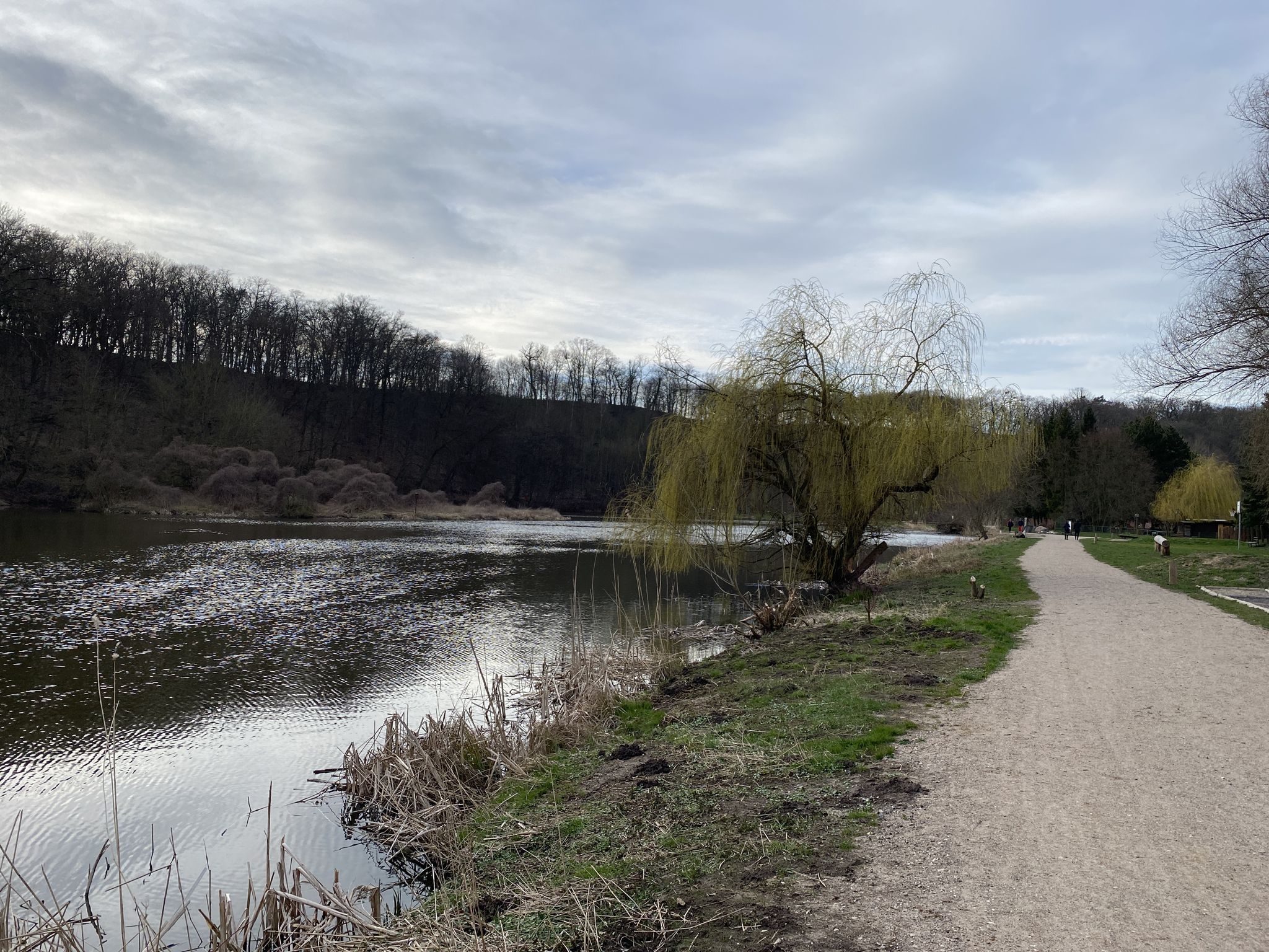 Mühlenteich