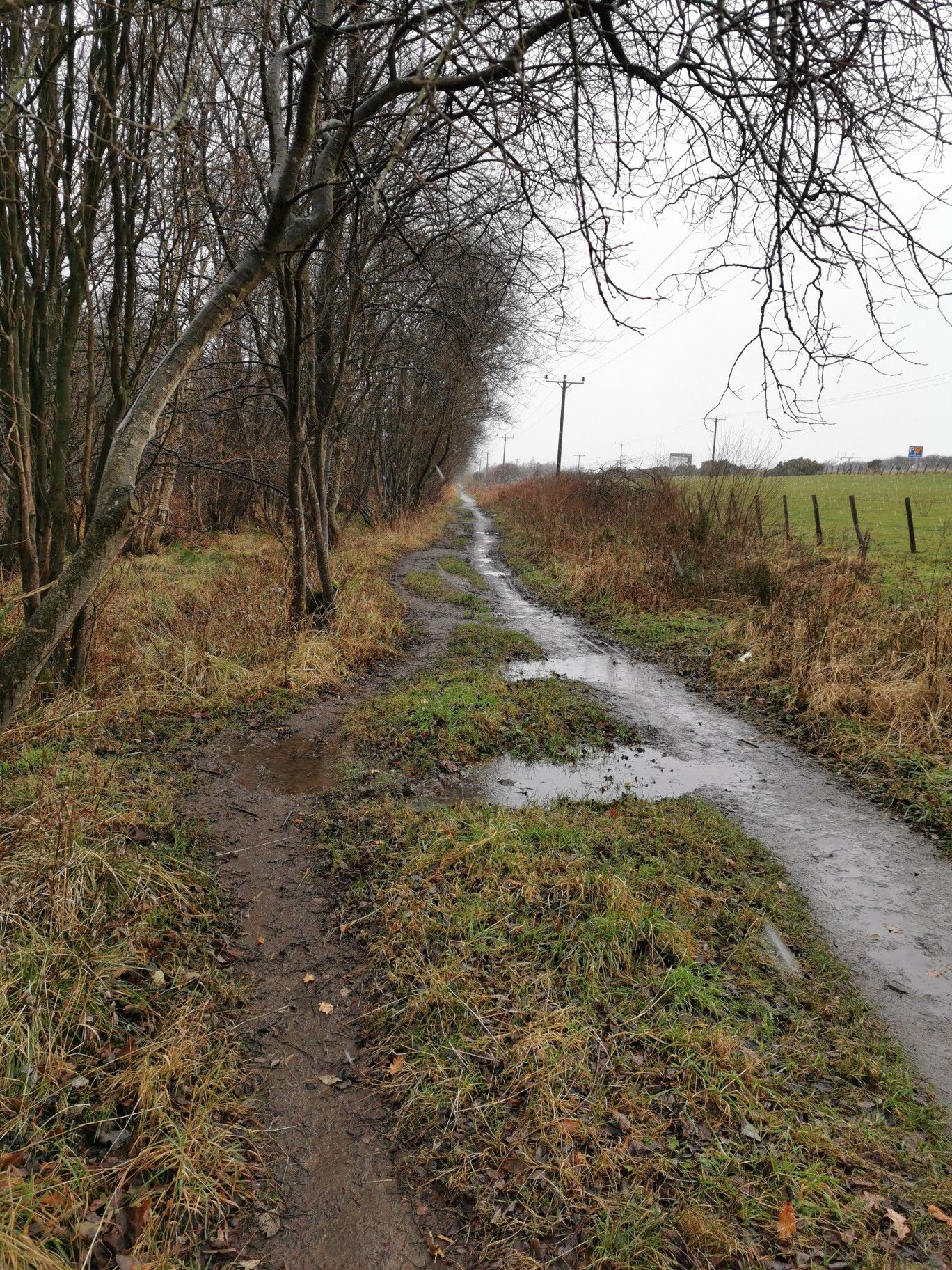 Kirkcakdy trails.  storm Barra bringing snow .