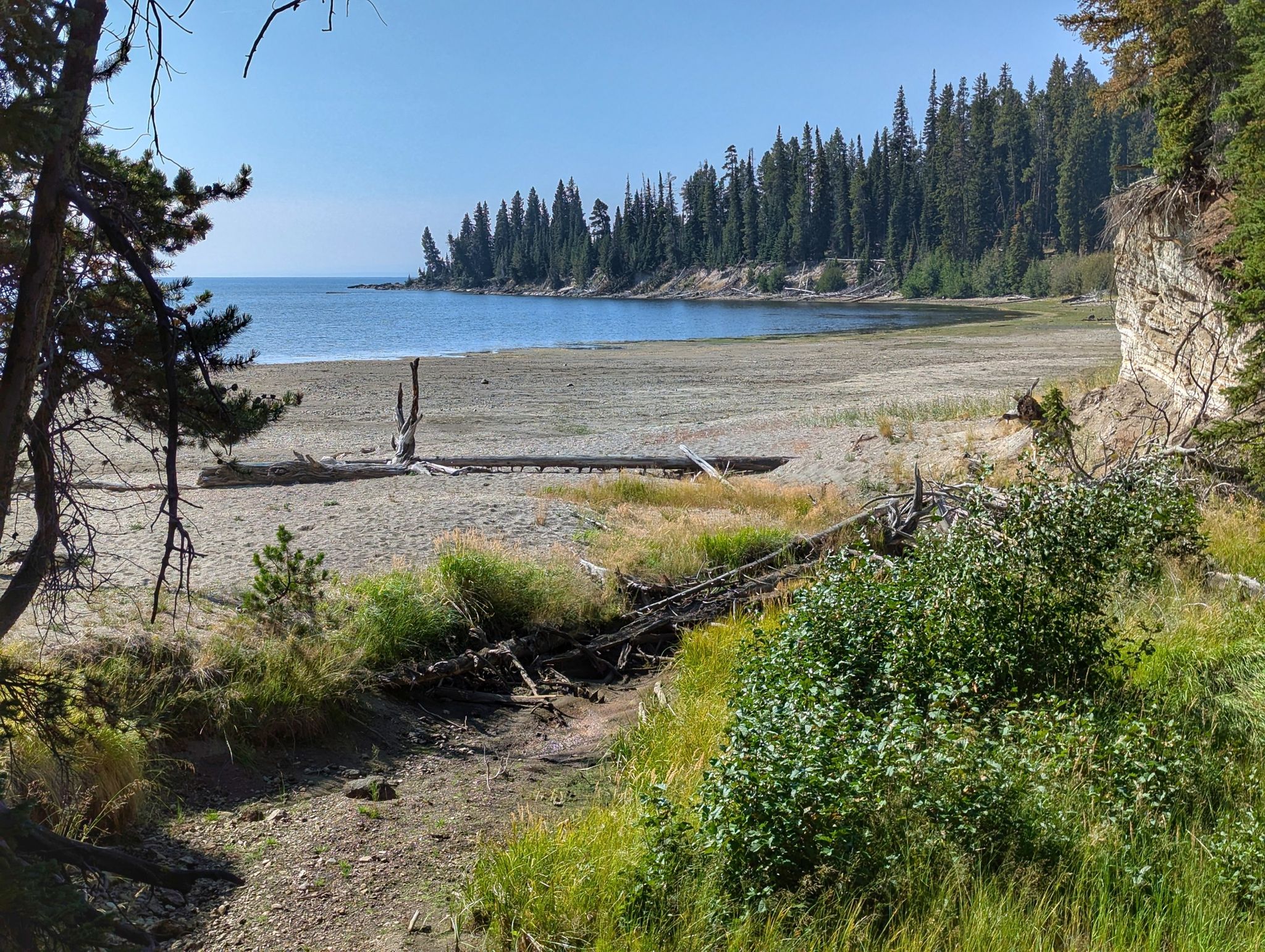 Sandy beach, calm lake, and dense forest under clear blue sky. - Storm Point Trail