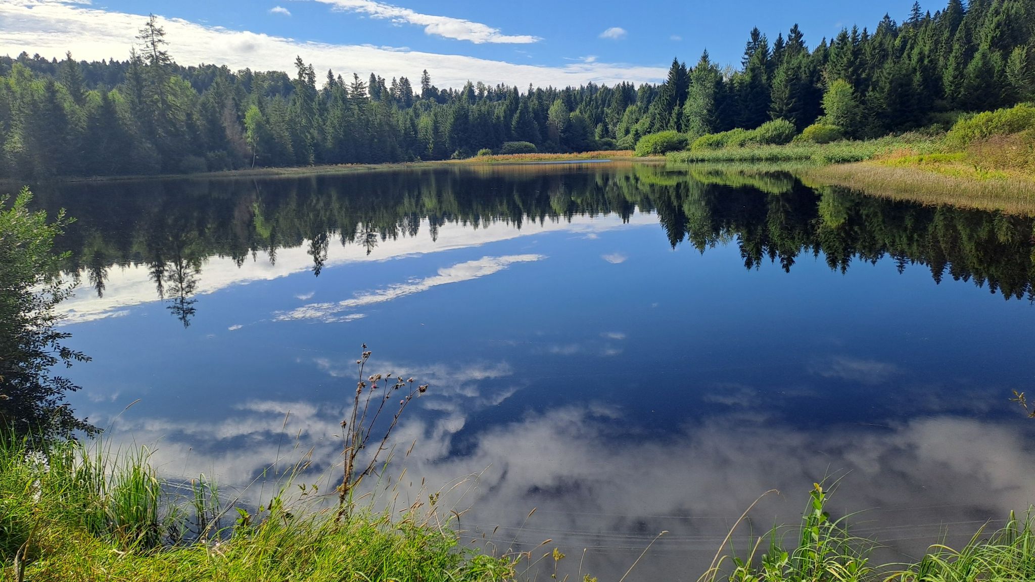 Etang des Royes