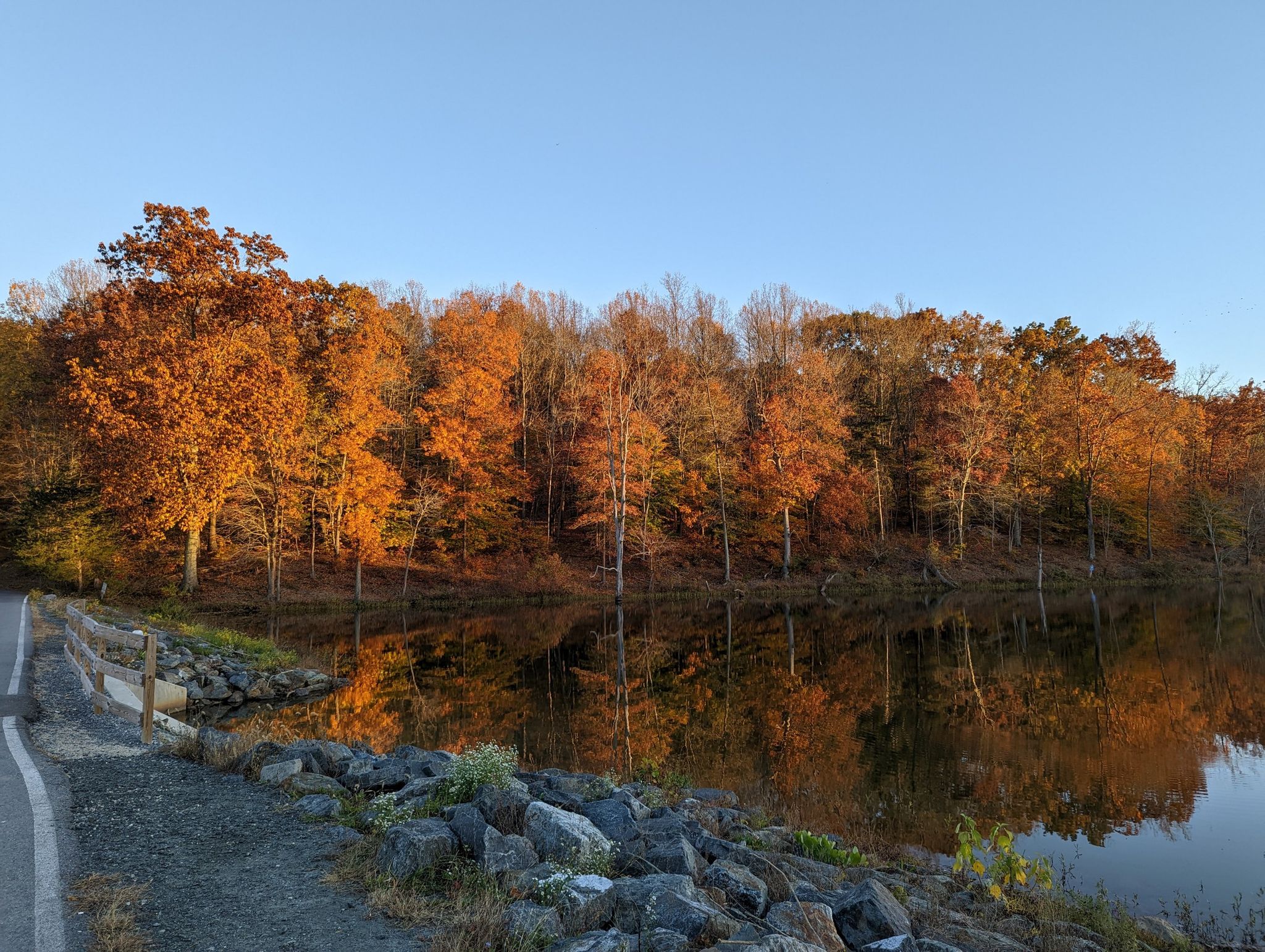 Lake reflecting vibrant autumn trees and clear sky, with a paved path. - Cabin Branch, Hamilton, and Hard Rock Trail Loop