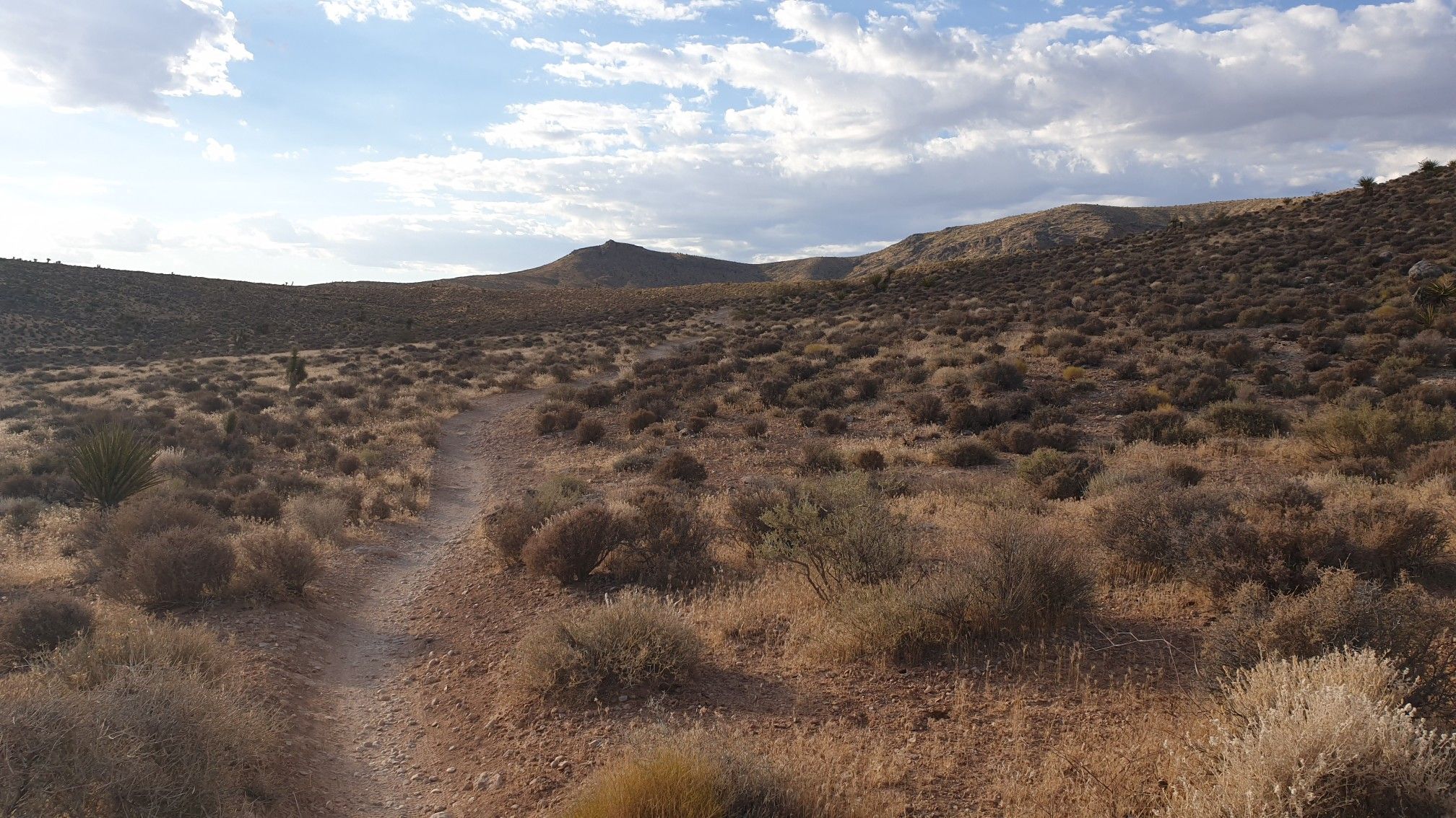 Narrow dirt trail through arid, rolling hills under a partly cloudy sky. - Shattered Glass and Landmine Loop