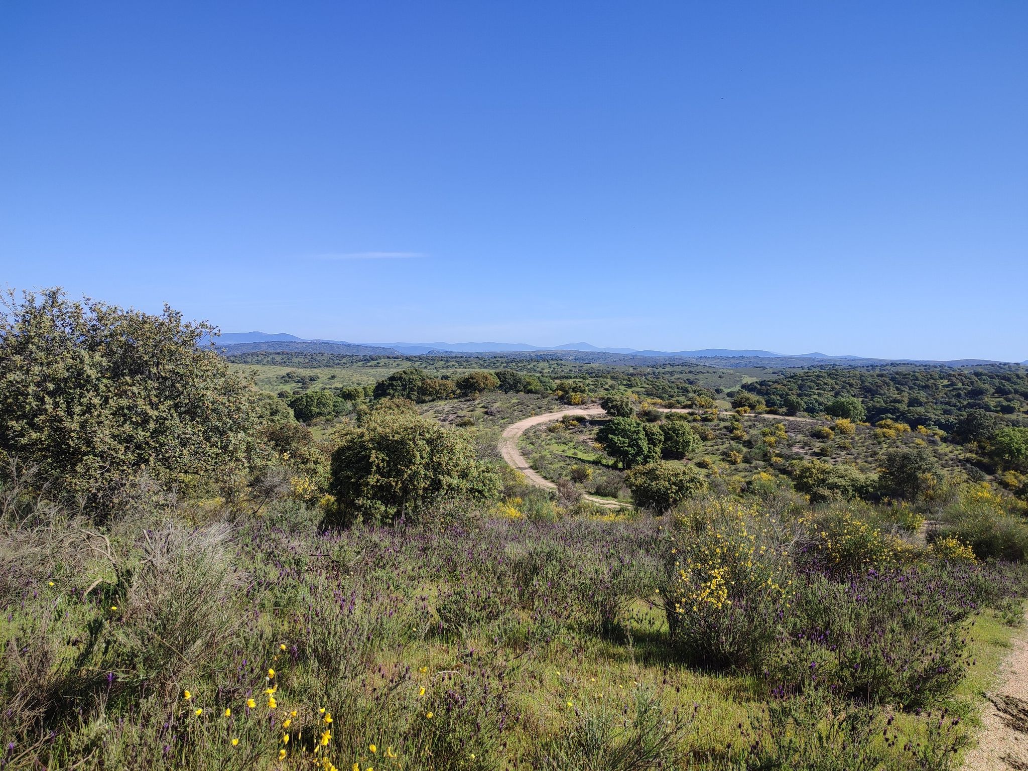 vistas 1