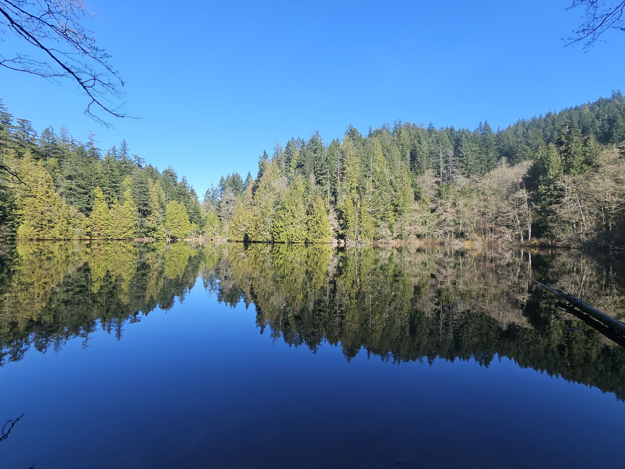 Serene lake reflecting a lush green forest under a clear blue sky. - Two Dollar Trail and Fragrance Lake Loop