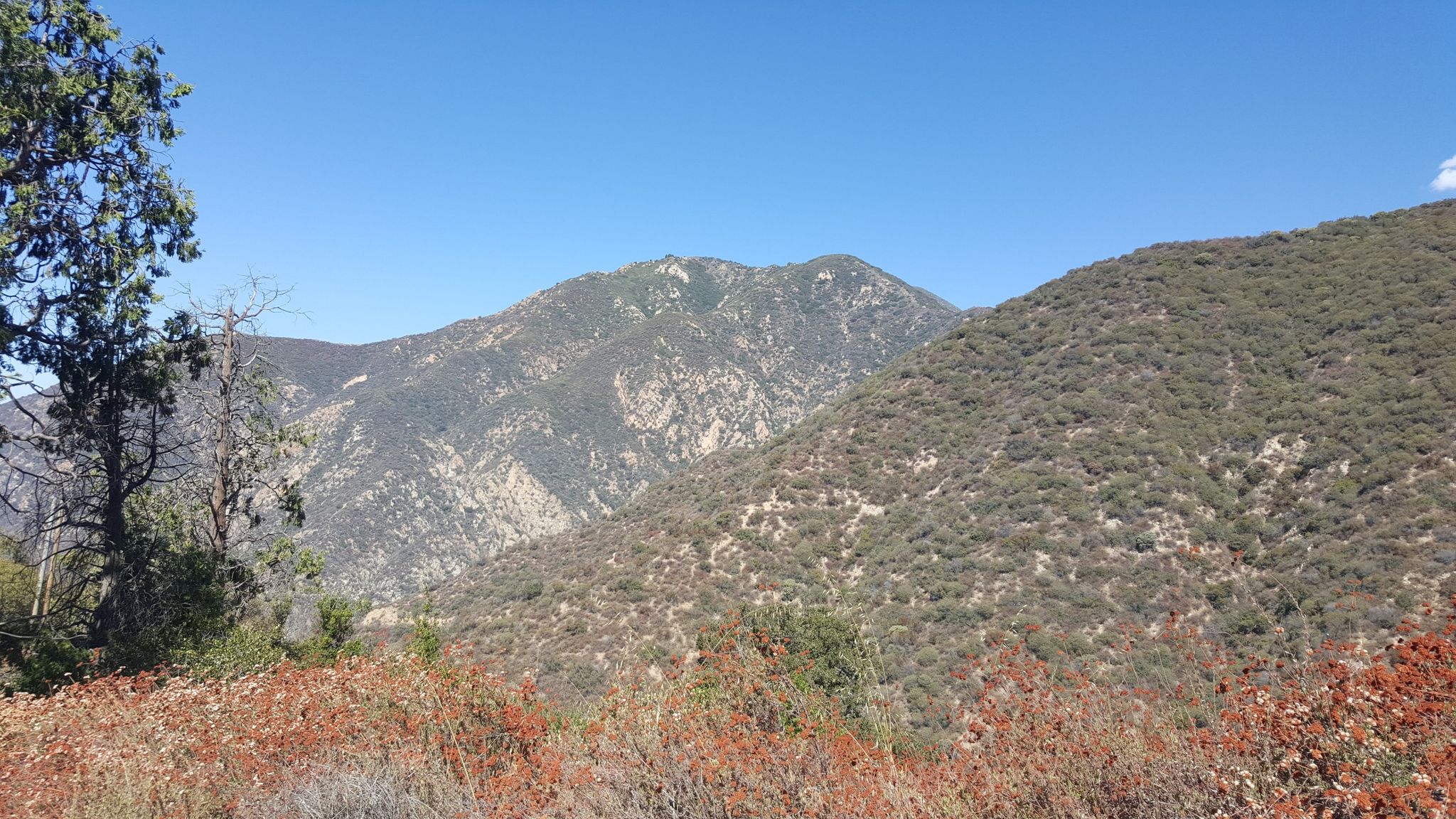 Expansive view of dry, brush-covered mountains under a clear blue sky. - Muir Peak and Eaton Canyon Loop