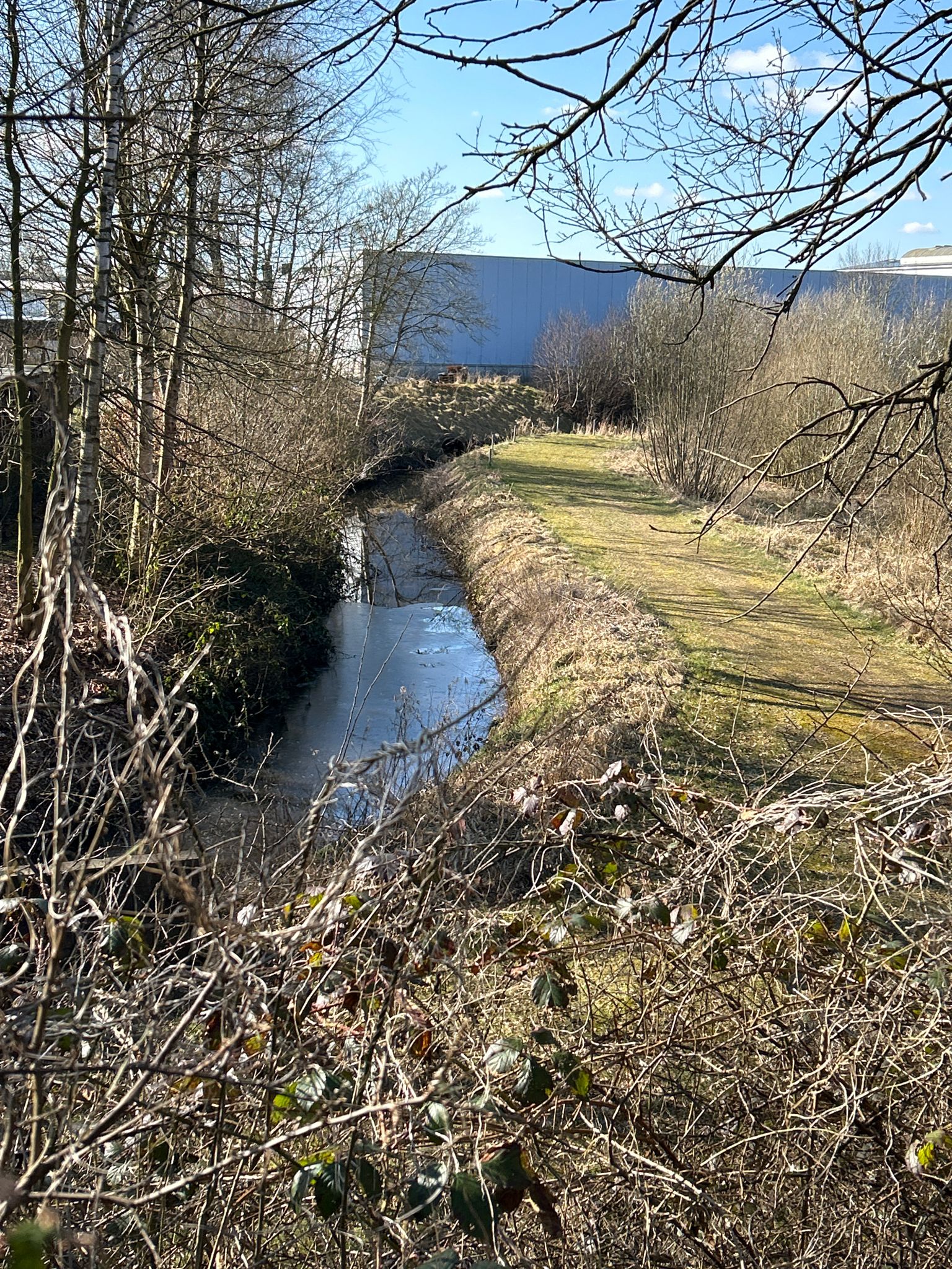 Die Marienau. Im Hintergrund der Citypark.