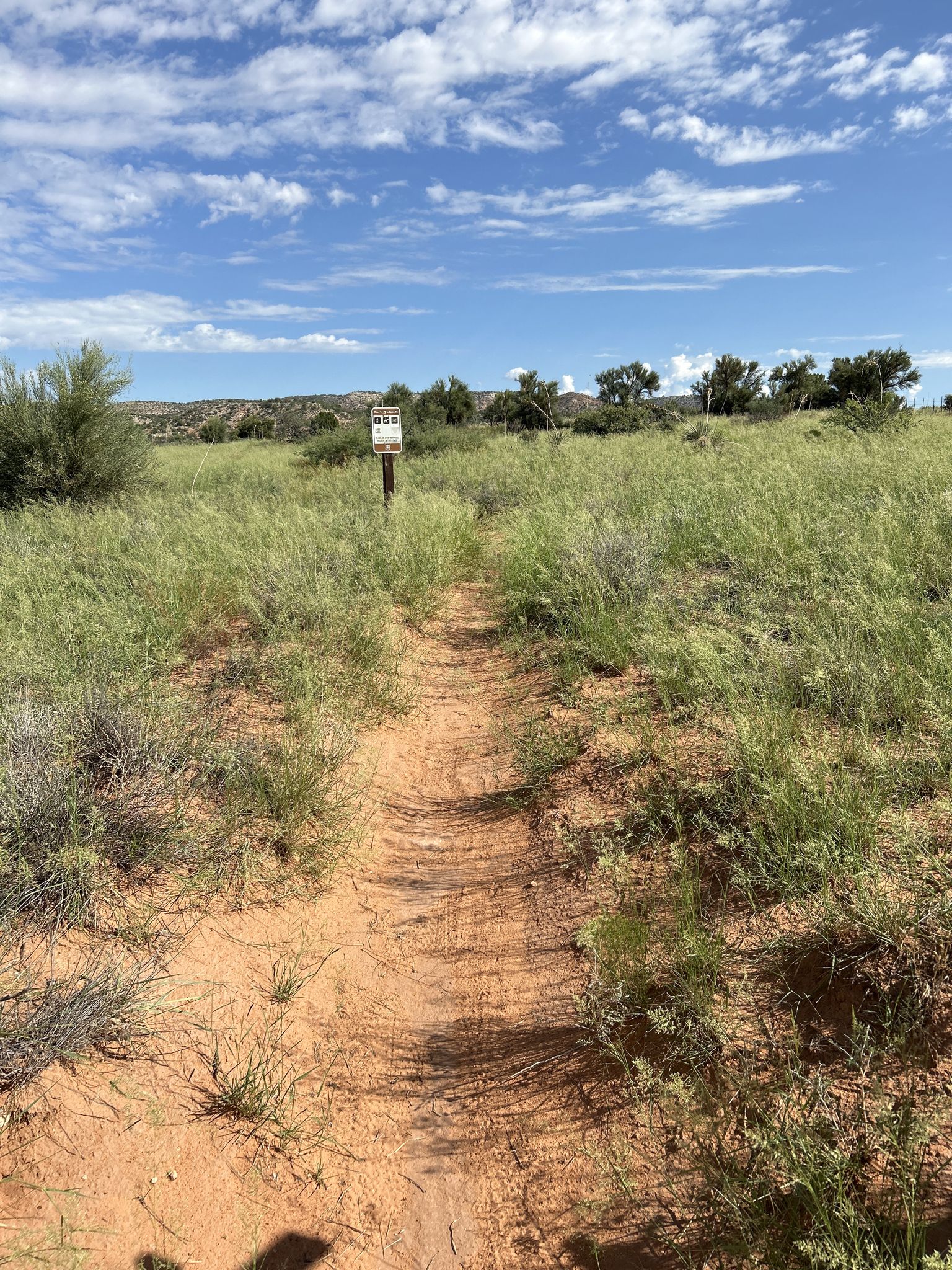 Narrow dirt path through tall green grass under a bright, cloudy sky. - Thumper Loop