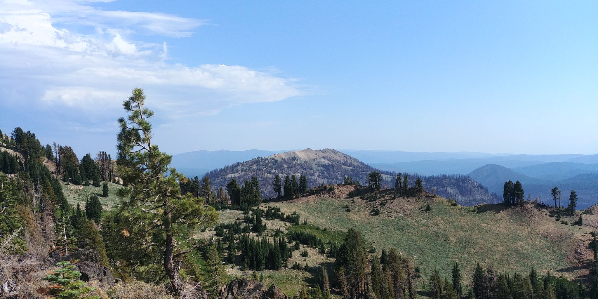 Mountain landscape with green hills, scattered trees, and a distant peak. - Bumpass Hell Trail
