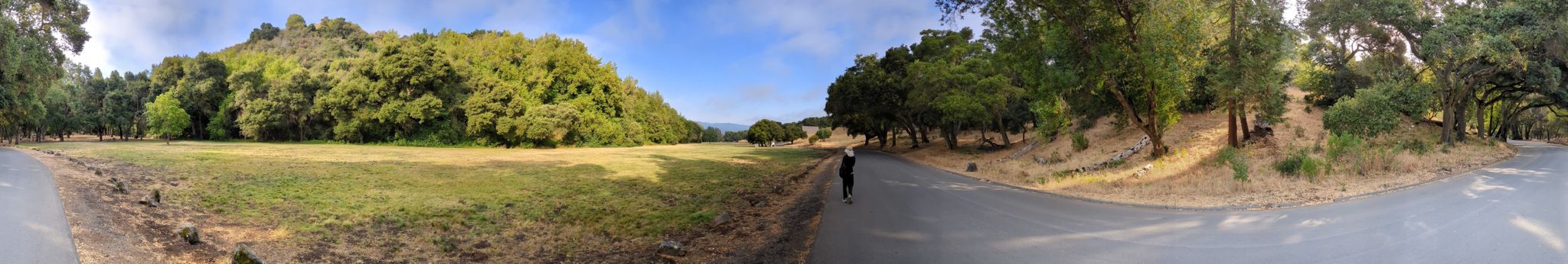 Person walks on a paved road next to a field and dense green trees. - Los Trancos and Trapper Trail Loop