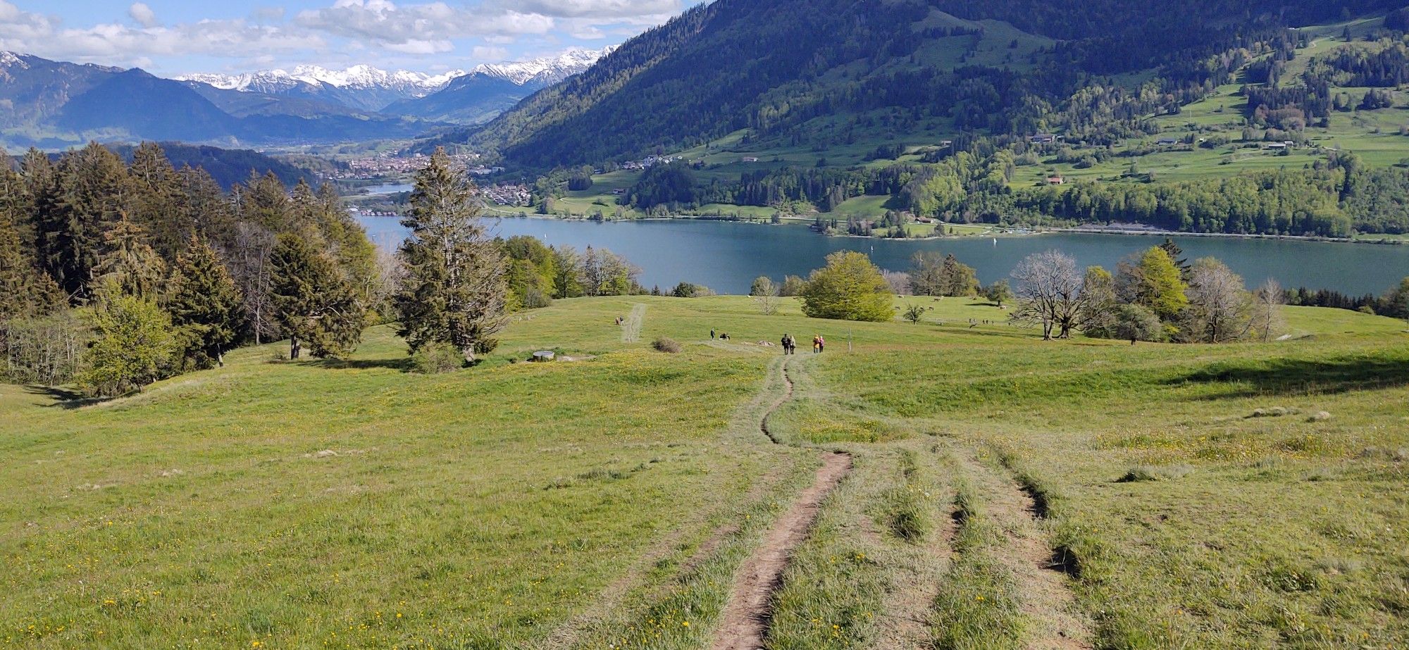 und wieder runter