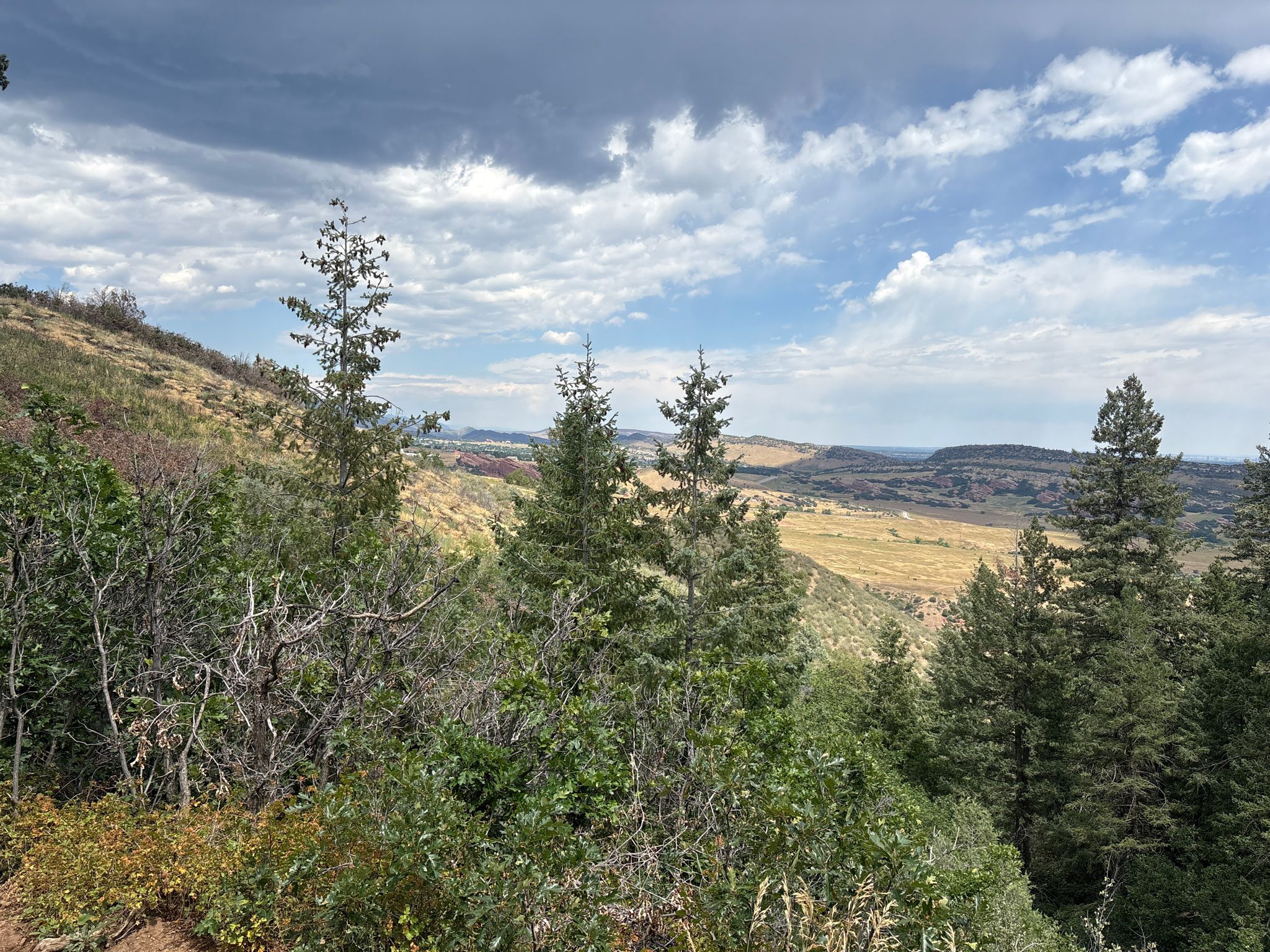 Pine trees frame a valley with distant fields under a cloudy sky. - Meadowlark Trail Viewpoint – Grazing Elk Trail loop from Classification Natural Resource Protection