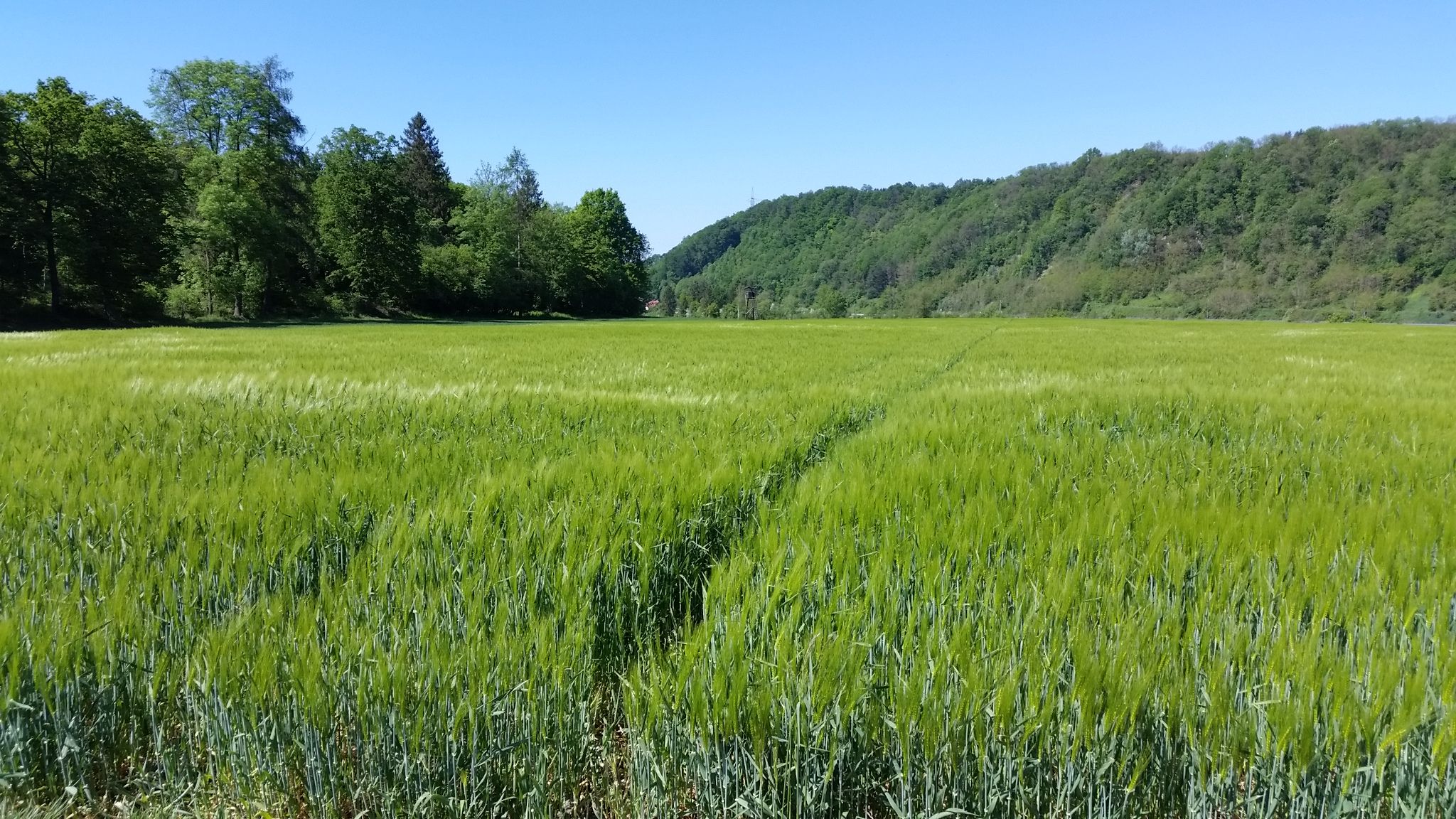 Gerstenfeld