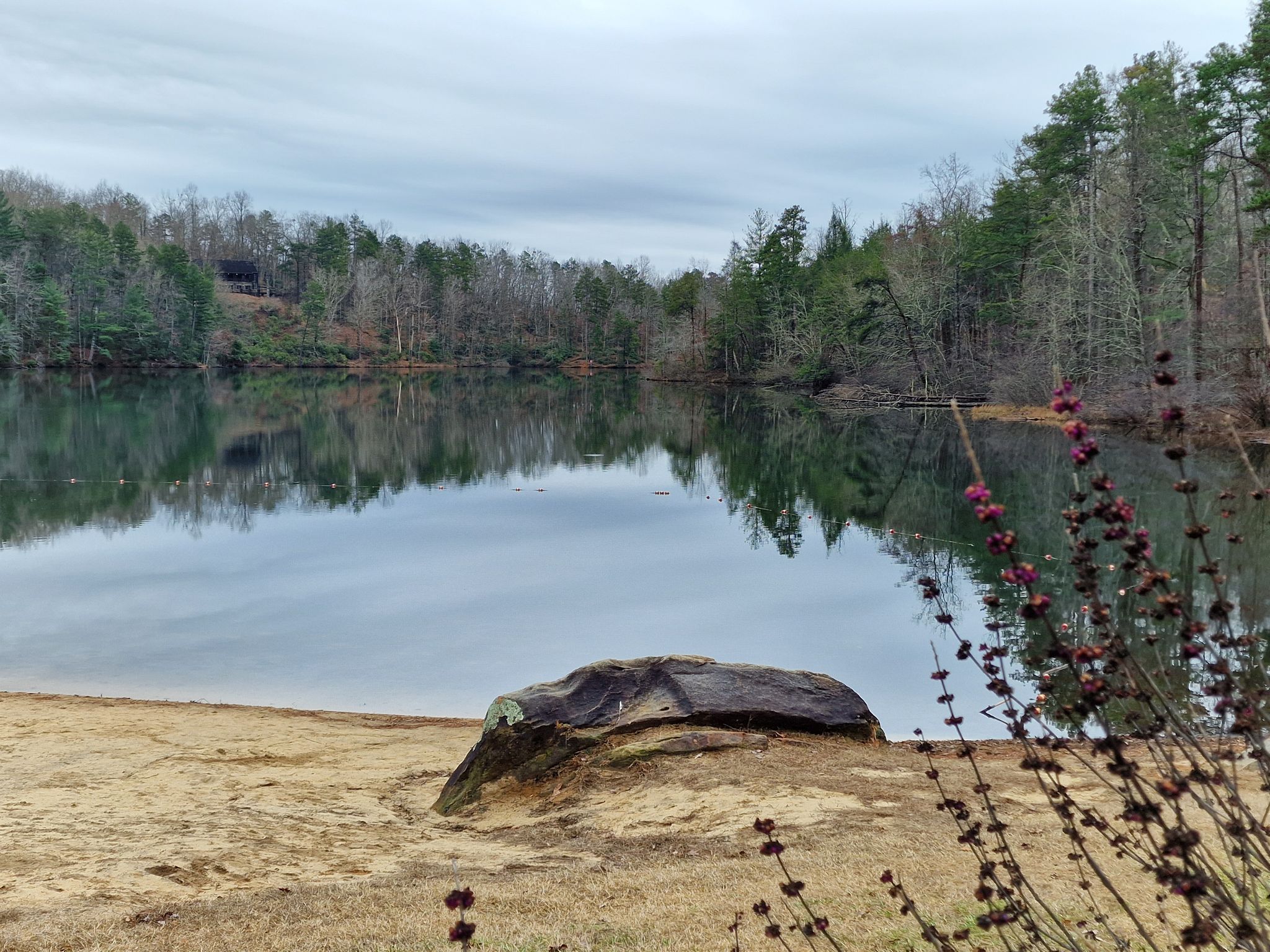 Calm lake reflects bare trees and evergreens under an overcast sky. - Lakeside Trail