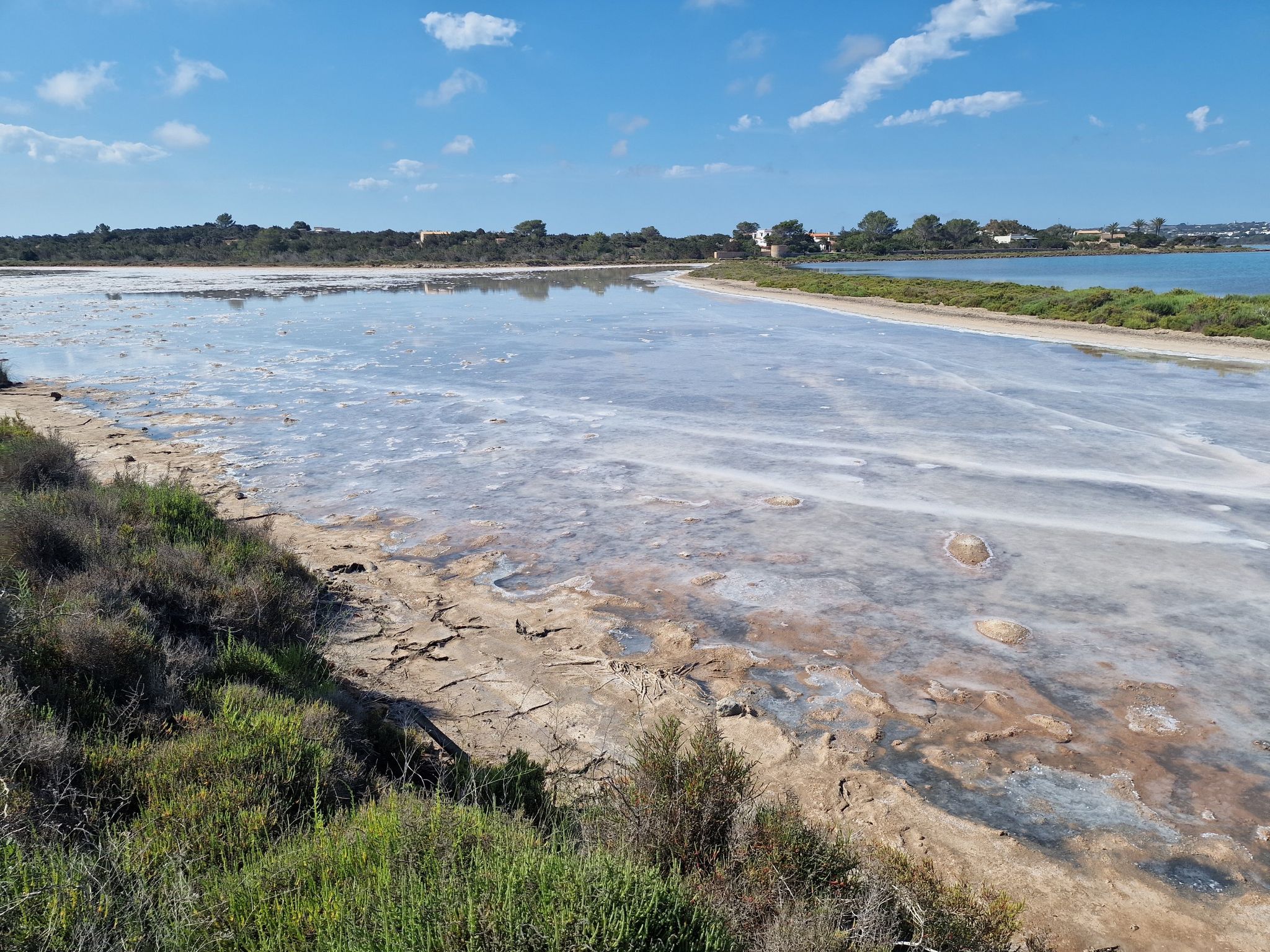 Ses salines