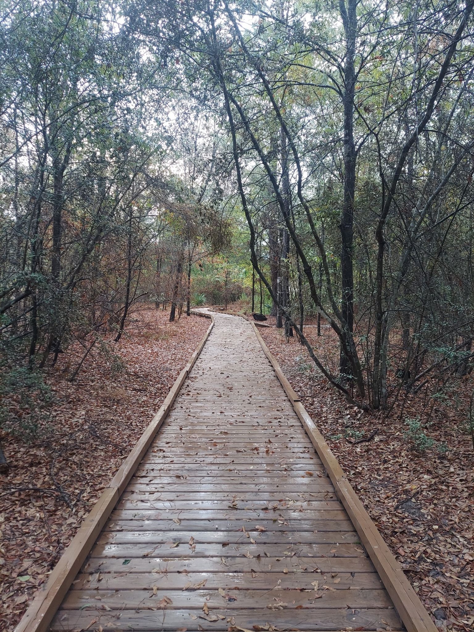 Peckinpaugh Preserve