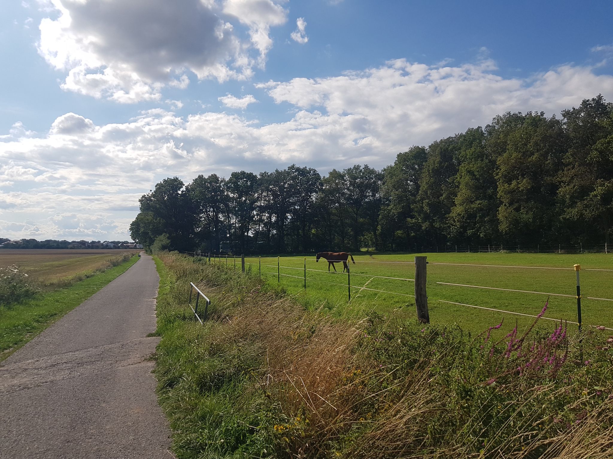 ohne Autoverkehr zwischen den Feldern