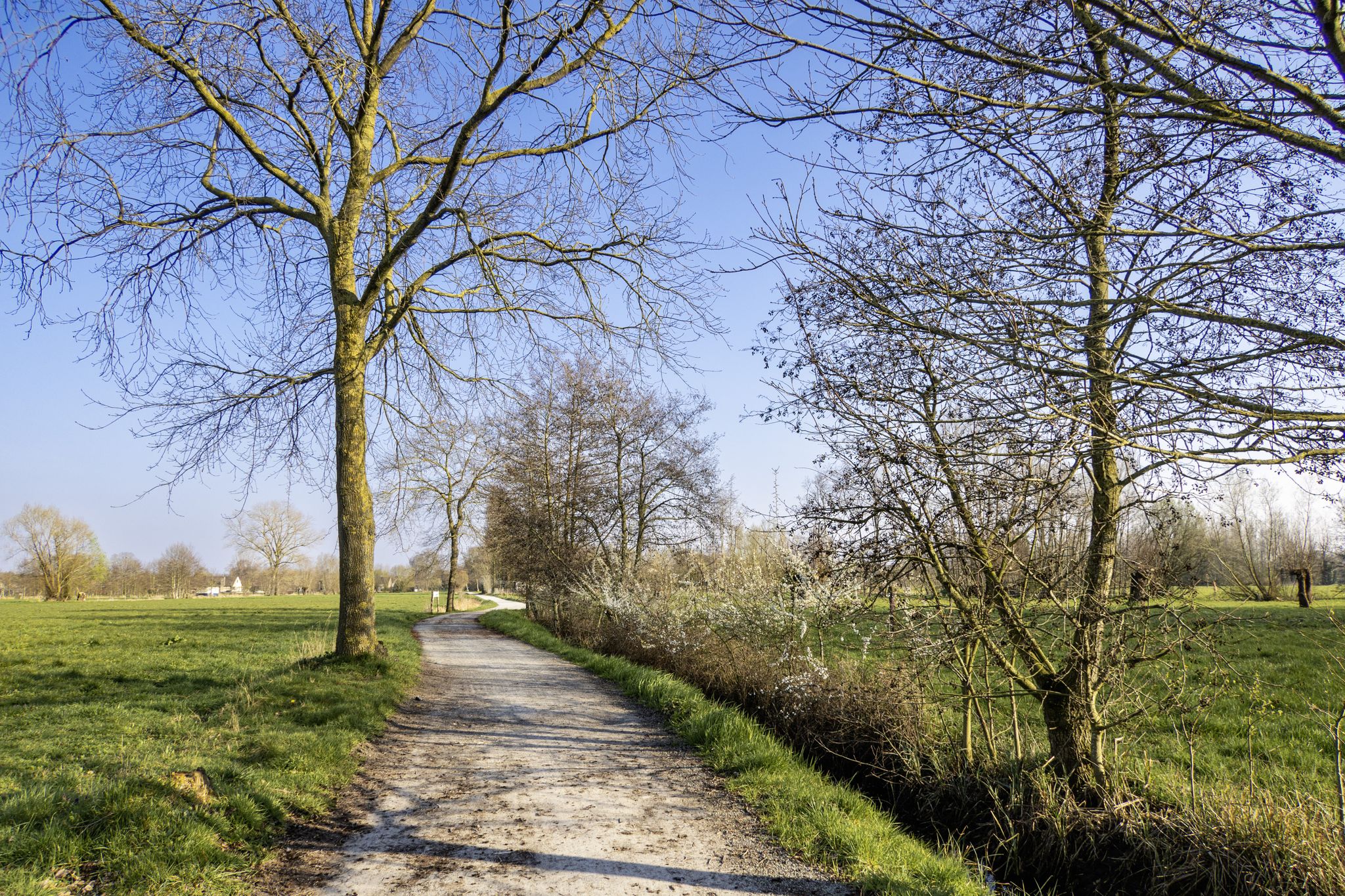 Via het Klaverstraatje naar Lovendegem