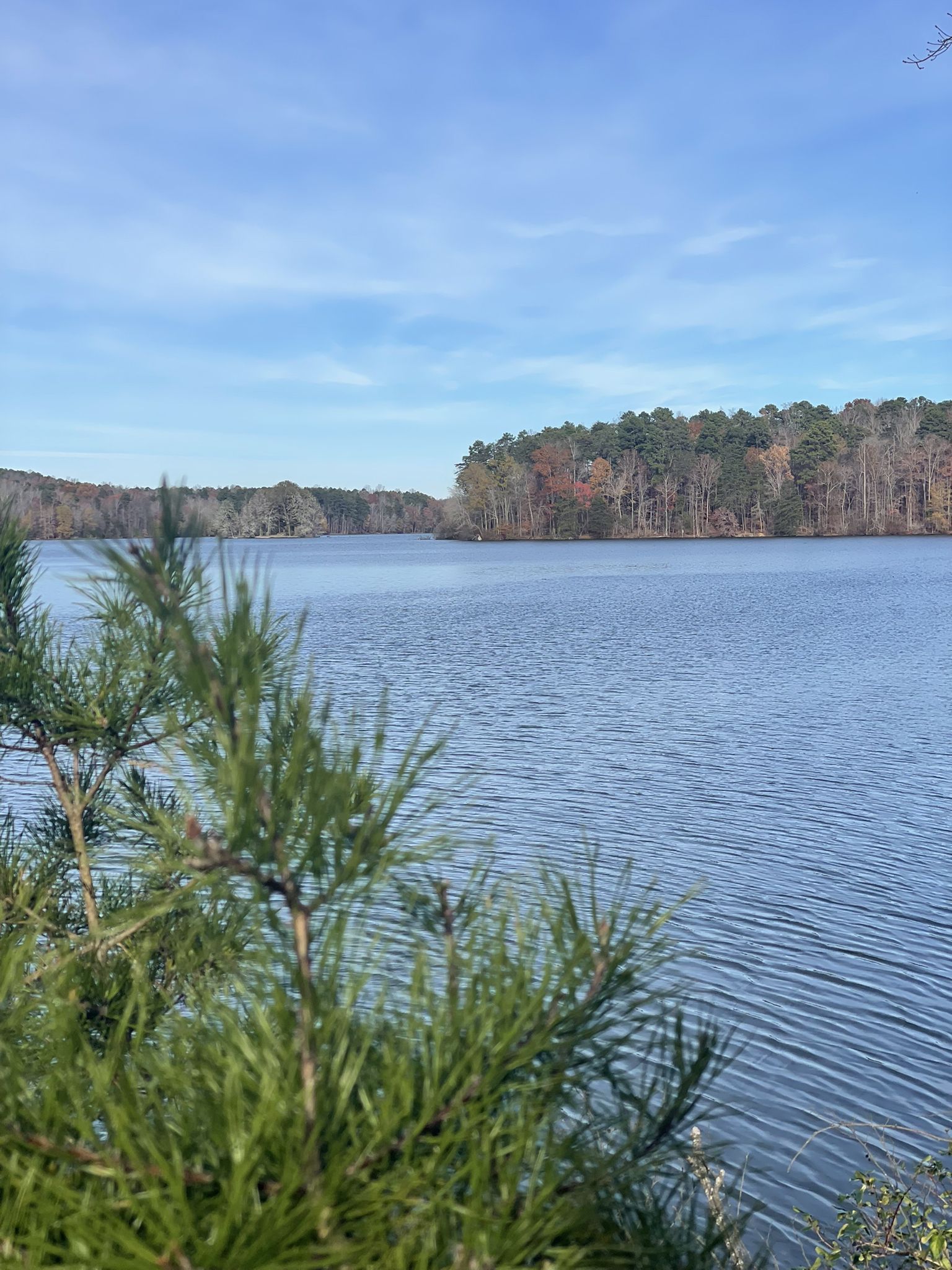 Pine branches frame a calm blue lake with a distant forested shore. - Lake Brandt – Greensboro Country Park loop from Guilford Courthouse National Military Park