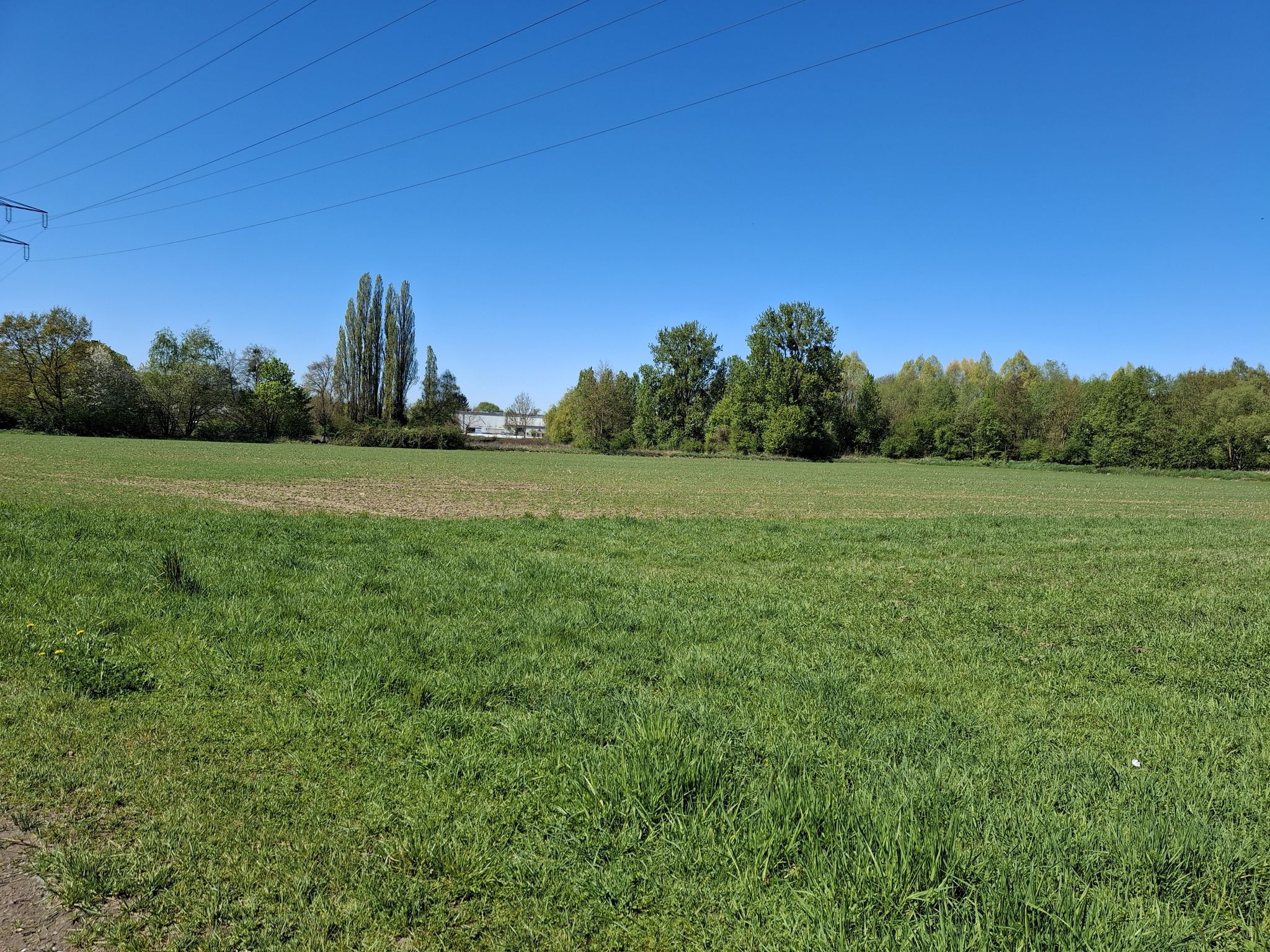Ehemaliger Sportplatz in Afferde 
