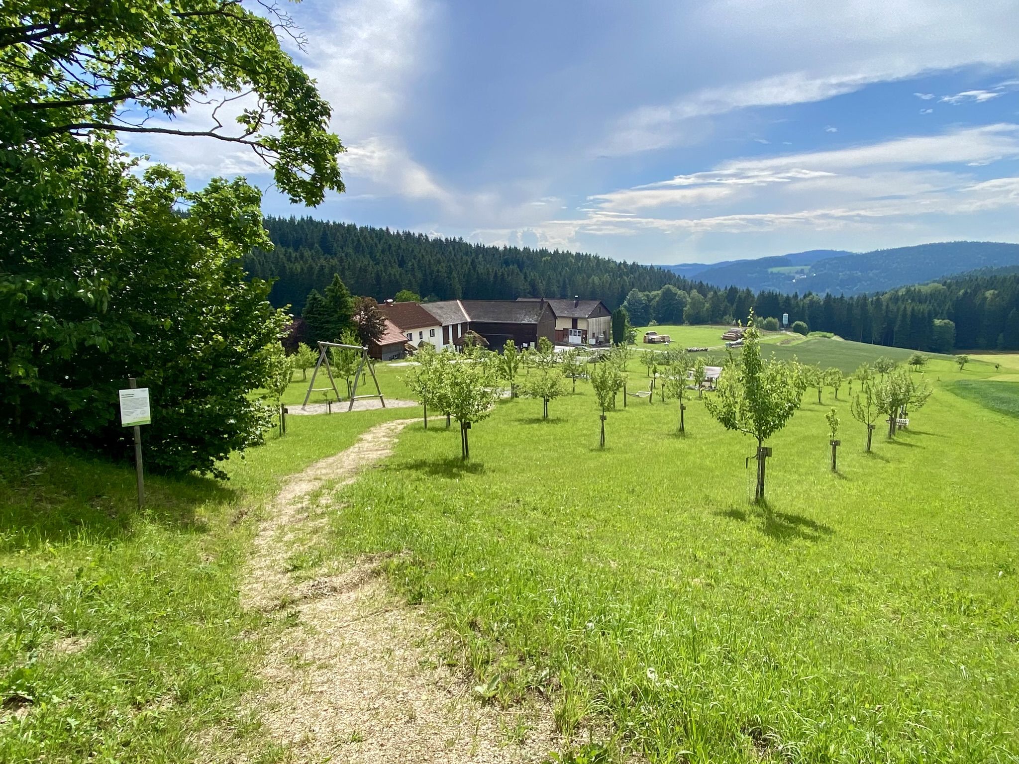 Obstwiese Biohof Thauerböck