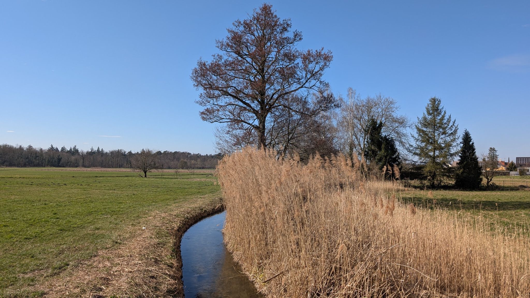 Wagbach