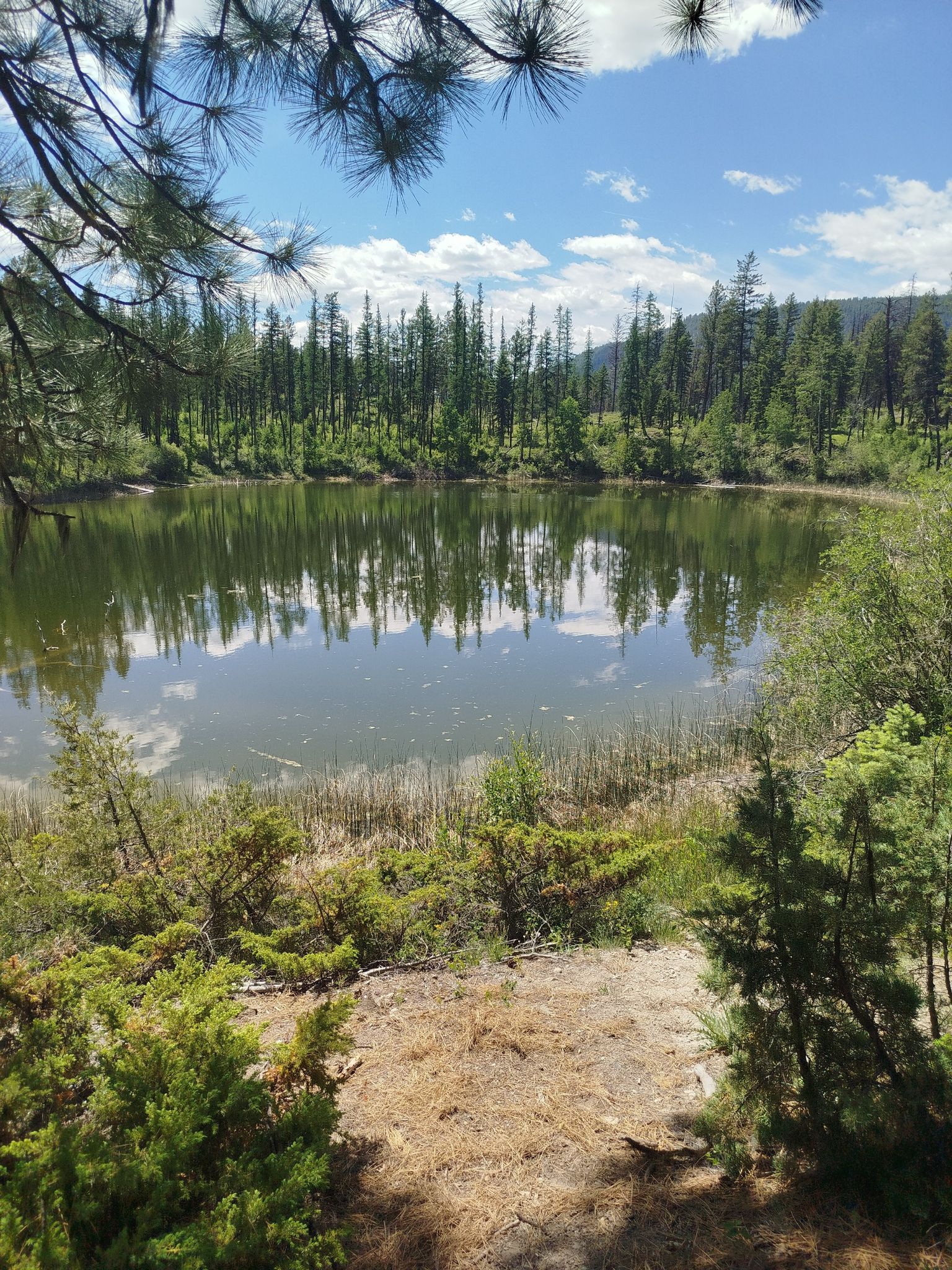 Der Schildkröten See