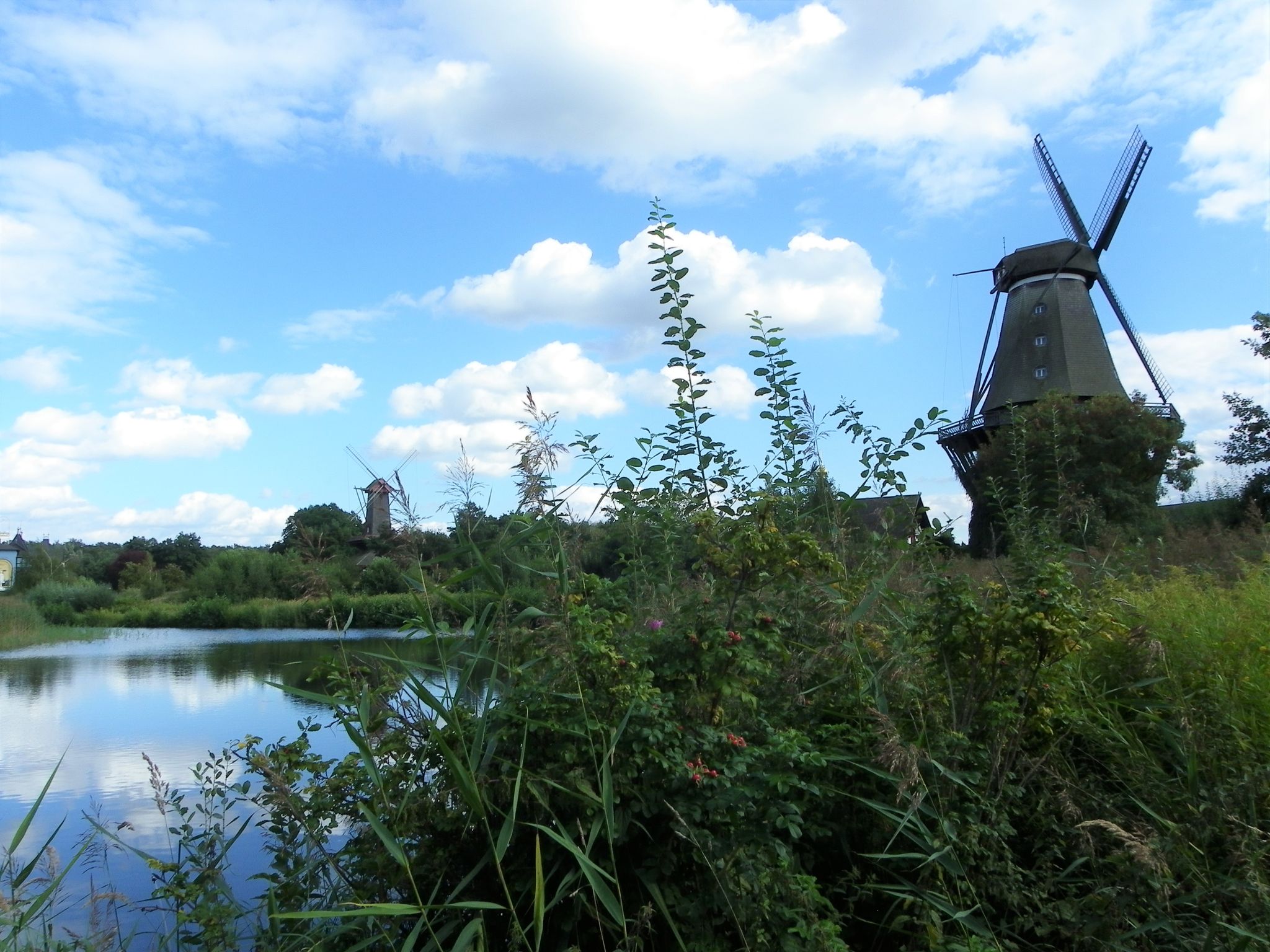 Mühlenmuseum Gifhorn