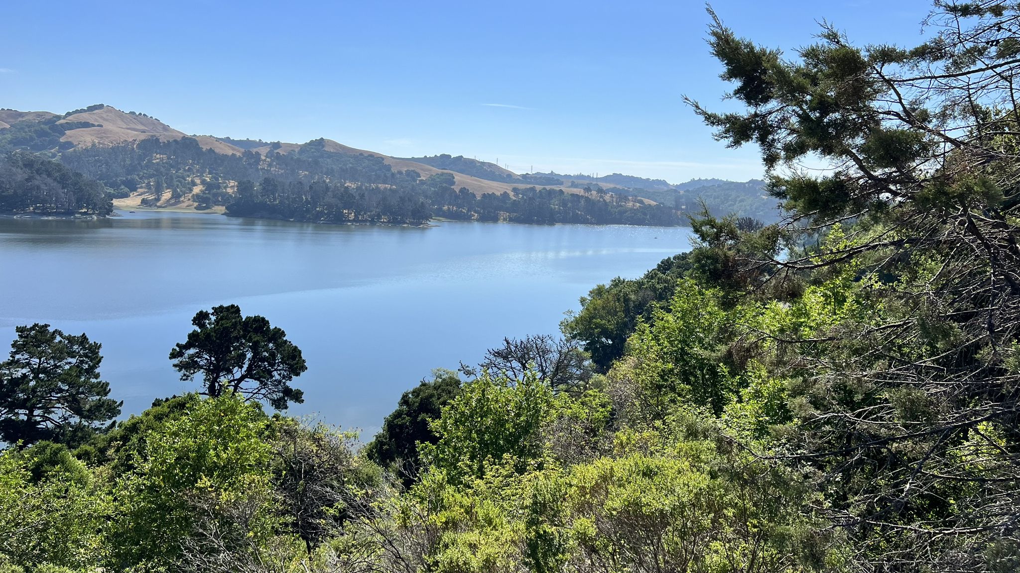Scenic view of a blue lake surrounded by green hills and trees on a sunny day. - San Pablo Reservoir – Orinda BART Station loop from Pinole