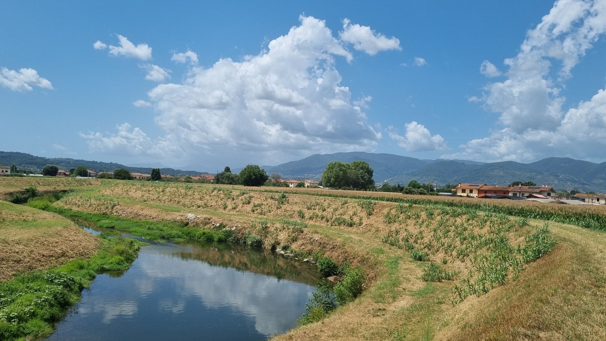 L'Argine lungo la Pescia