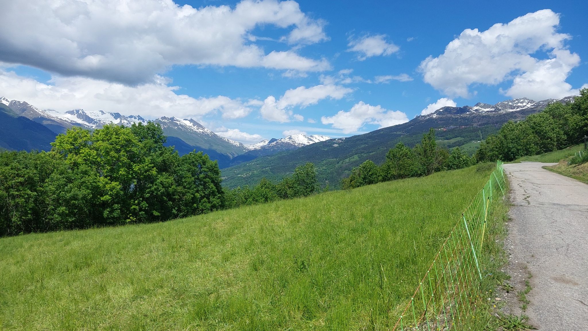 col du Petit St Bernard